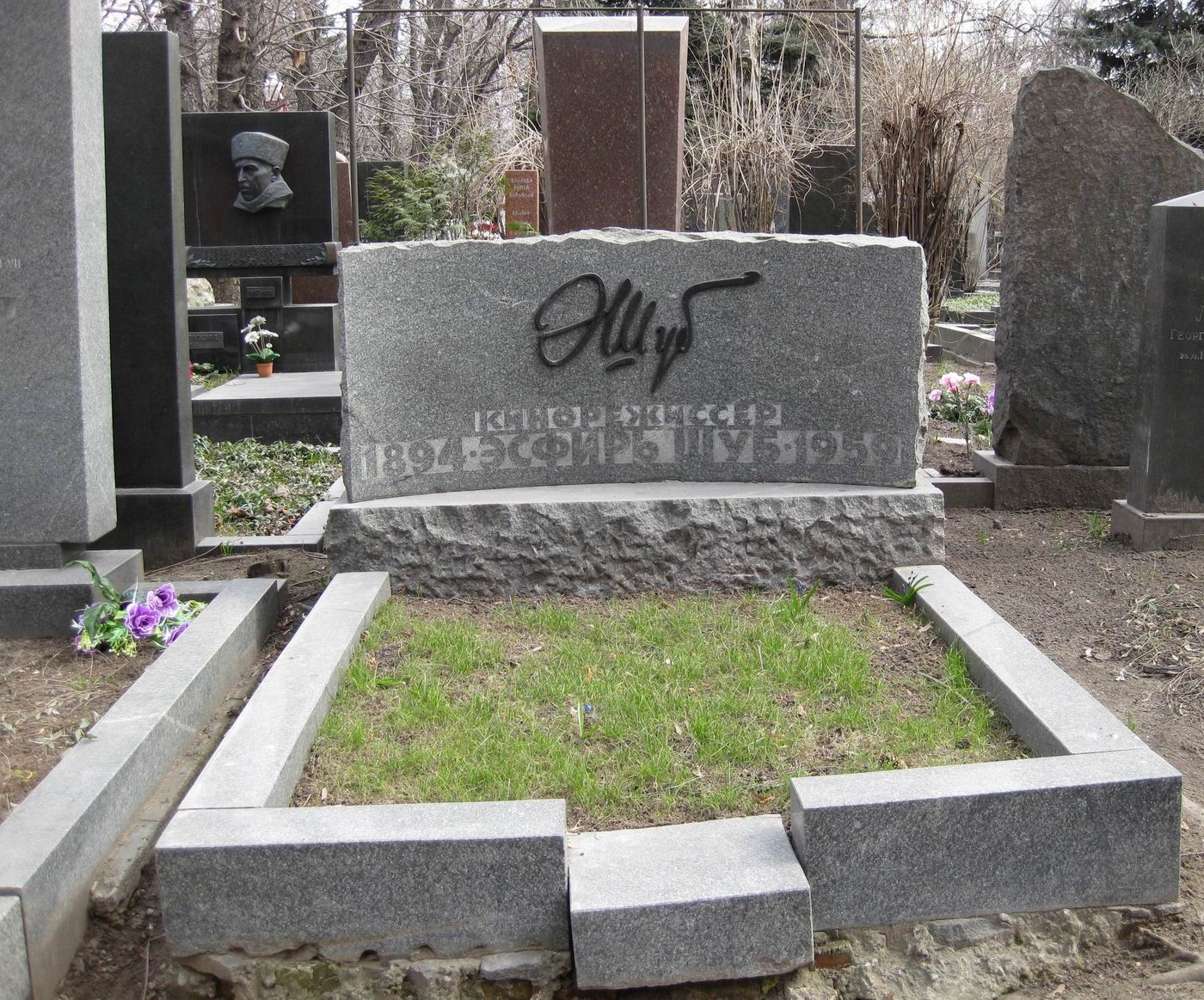 Памятник на могиле Шуб Э.И. (1894–1959), по проекту А.Коноплевой, на Новодевичьем кладбище (5–38–3).