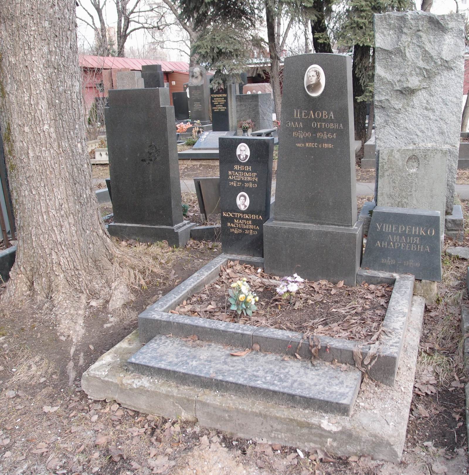 Памятник на могиле Целовой Э.О. (1900–1964), на Новодевичьем кладбище (5–8–5).