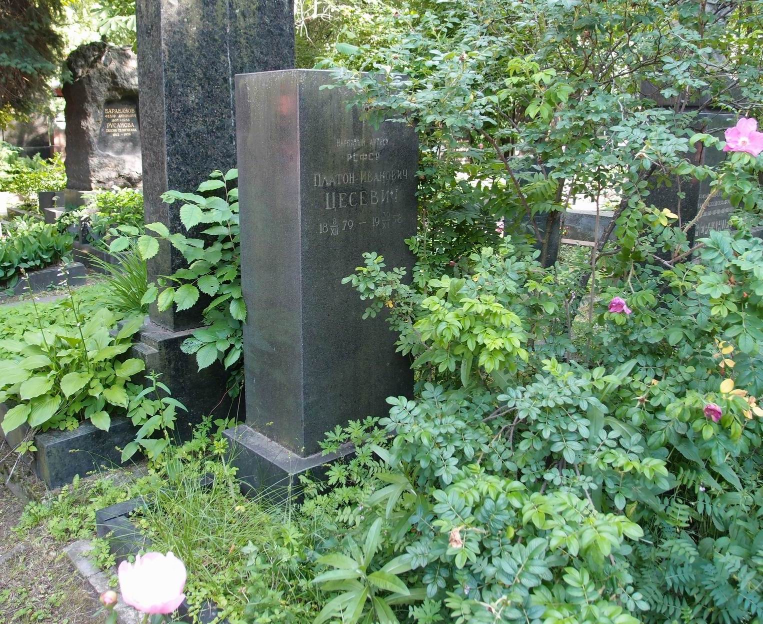 Памятник на могиле Цесевича П.И. (1879–1958), на Новодевичьем кладбище (5–29–3).