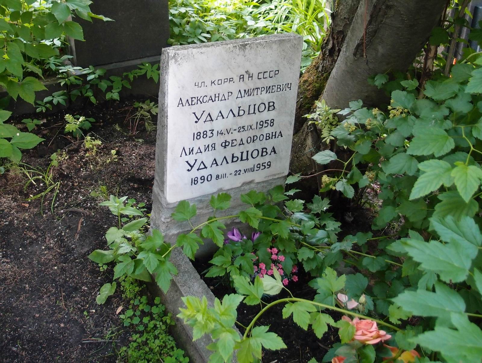Памятник на могиле Удальцова А.Д. (1883–1958), на Новодевичьем кладбище (5–26–6).