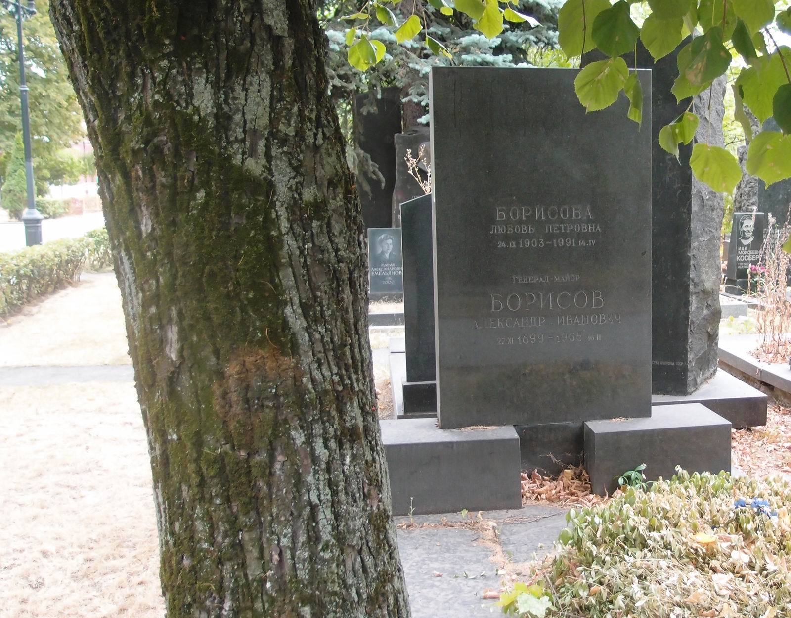 Памятник на могиле Борисова А.И. (1899–1965), на Новодевичьем кладбище (6–16–1).