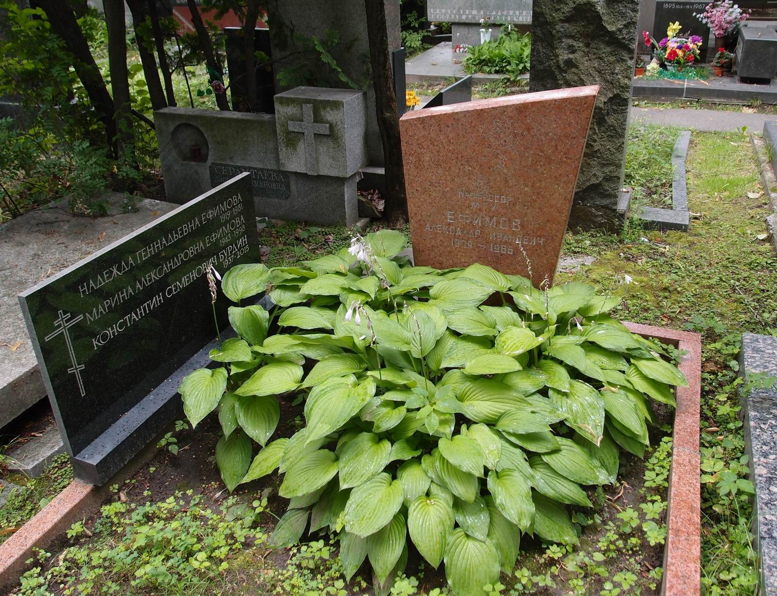 Памятник на могиле Ефимова А.И. (1909–1966), на Новодевичьем кладбище (6–33–5).