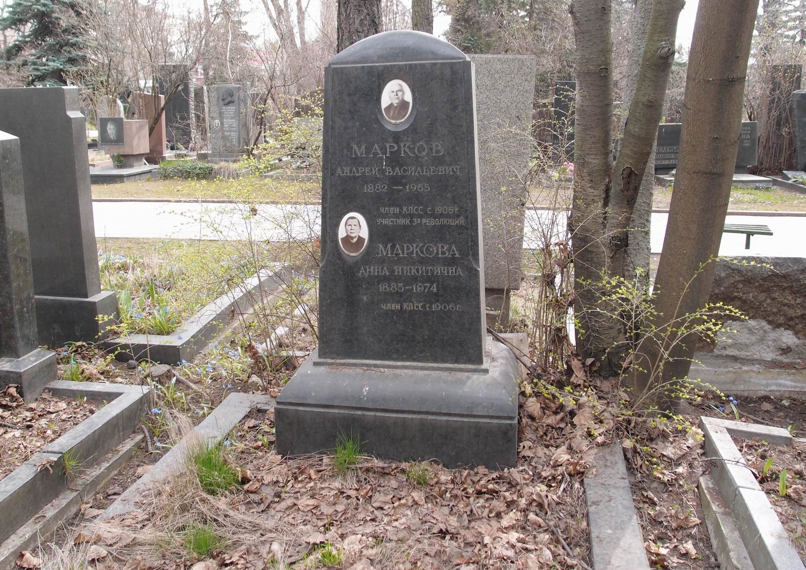Памятник на могиле Маркова А.В. (1882-1965), на Новодевичьем кладбище (6-18-8).