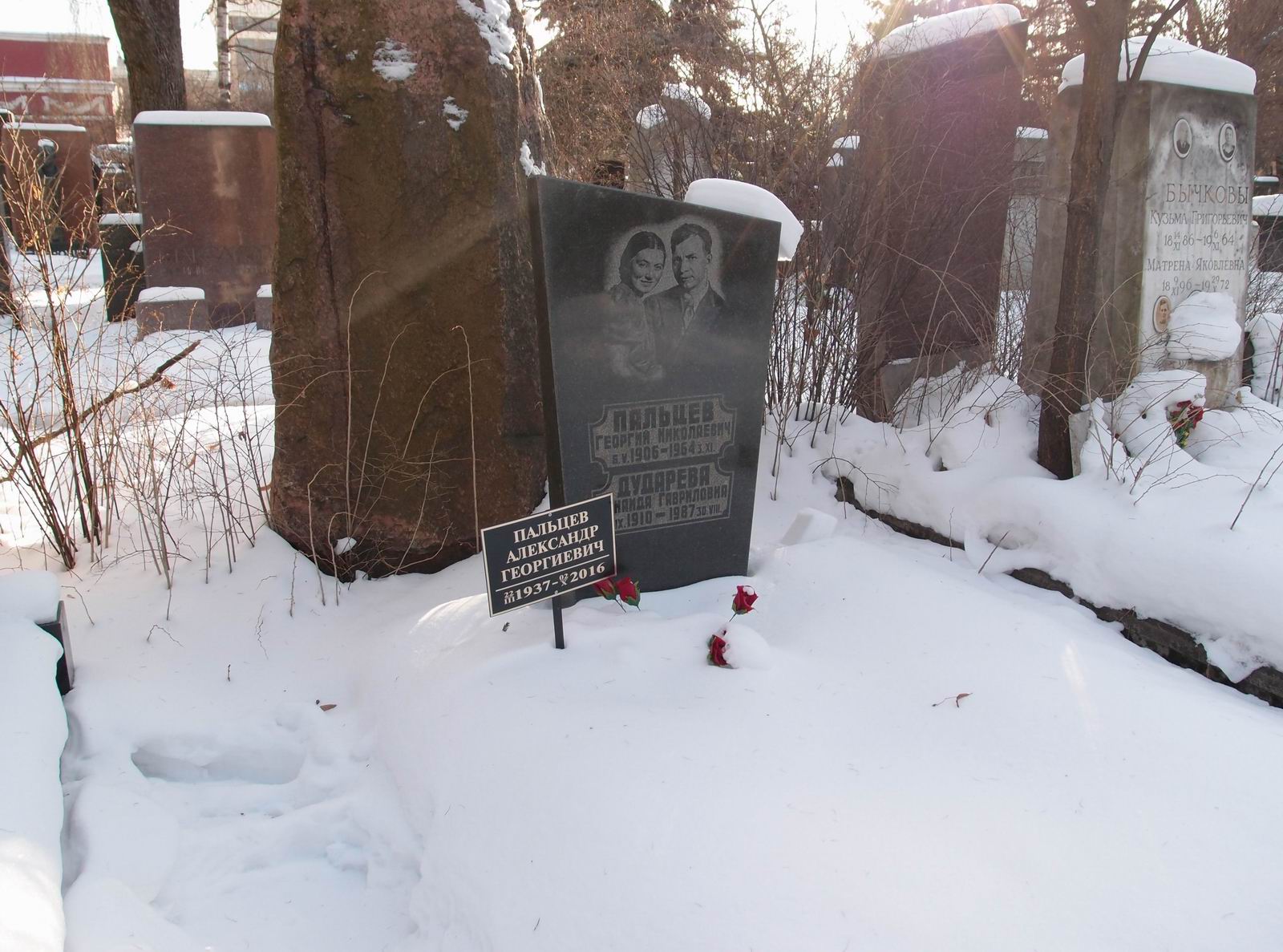 Памятник на могиле Пальцева Г.Н. (1906–1964), на Новодевичьем кладбище (6–12–3).