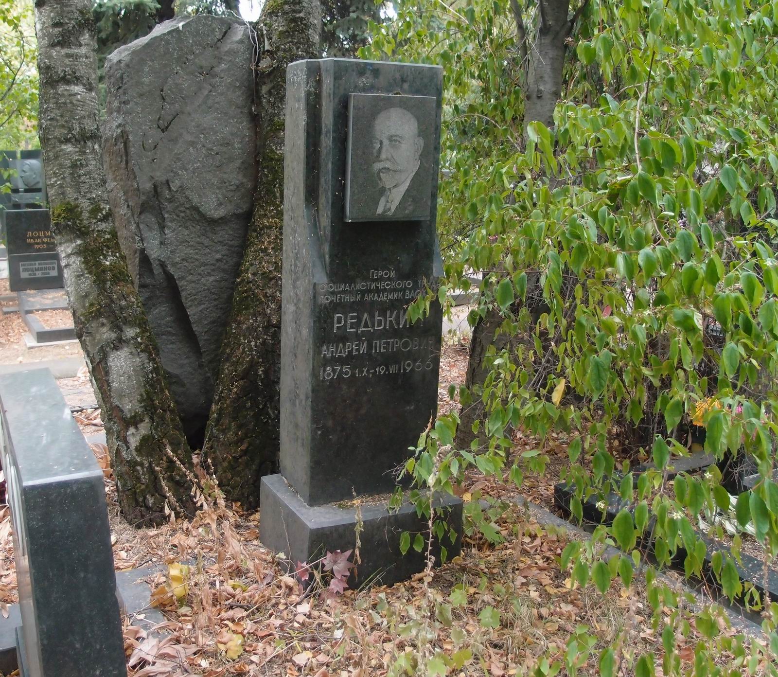 Памятник на могиле Редькина А.П. (1875–1966), на Новодевичьем кладбище (6–32–3).