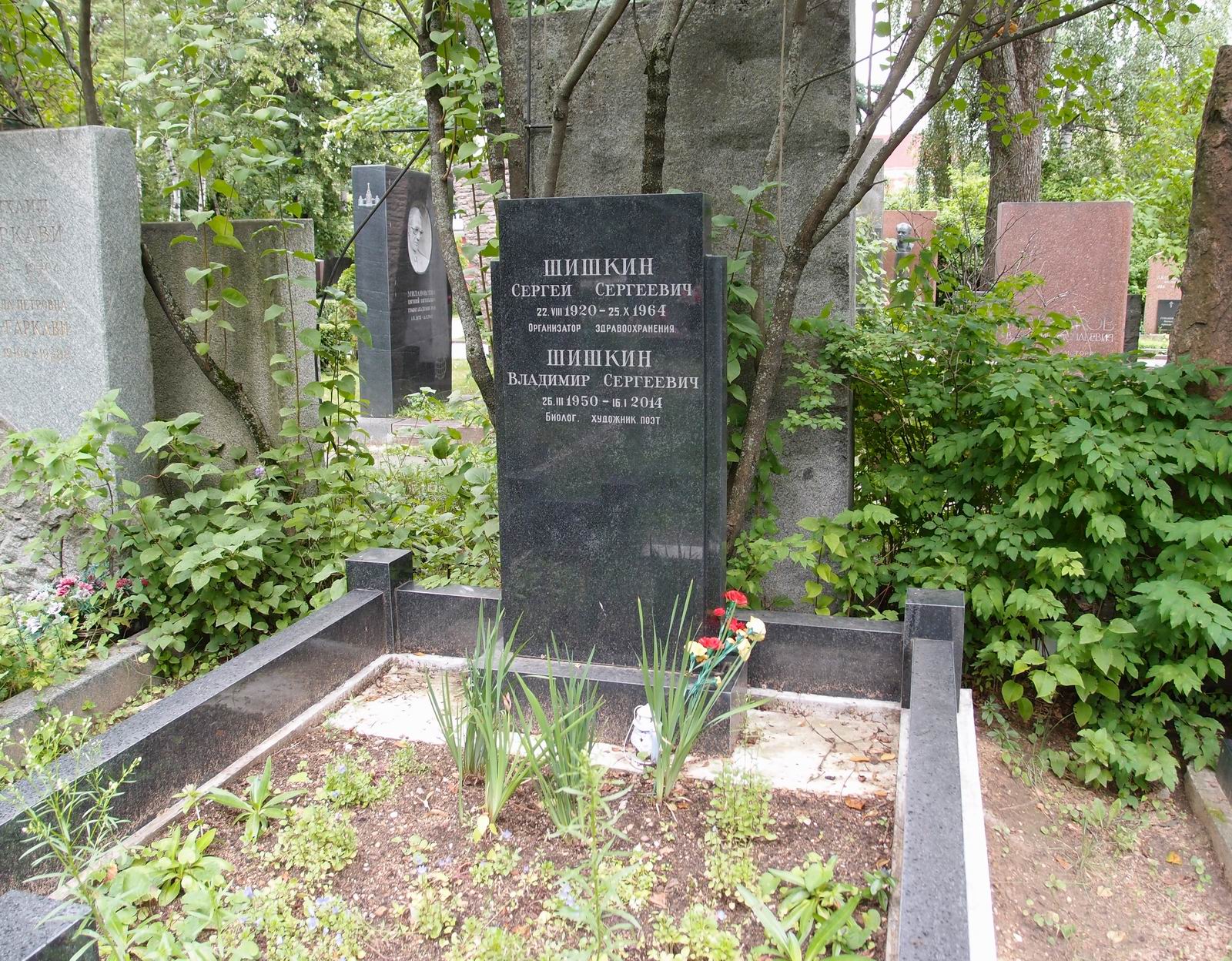Памятник на могиле Шишкина С.С. (1920-1964), на Новодевичьем кладбище (6-12-2).