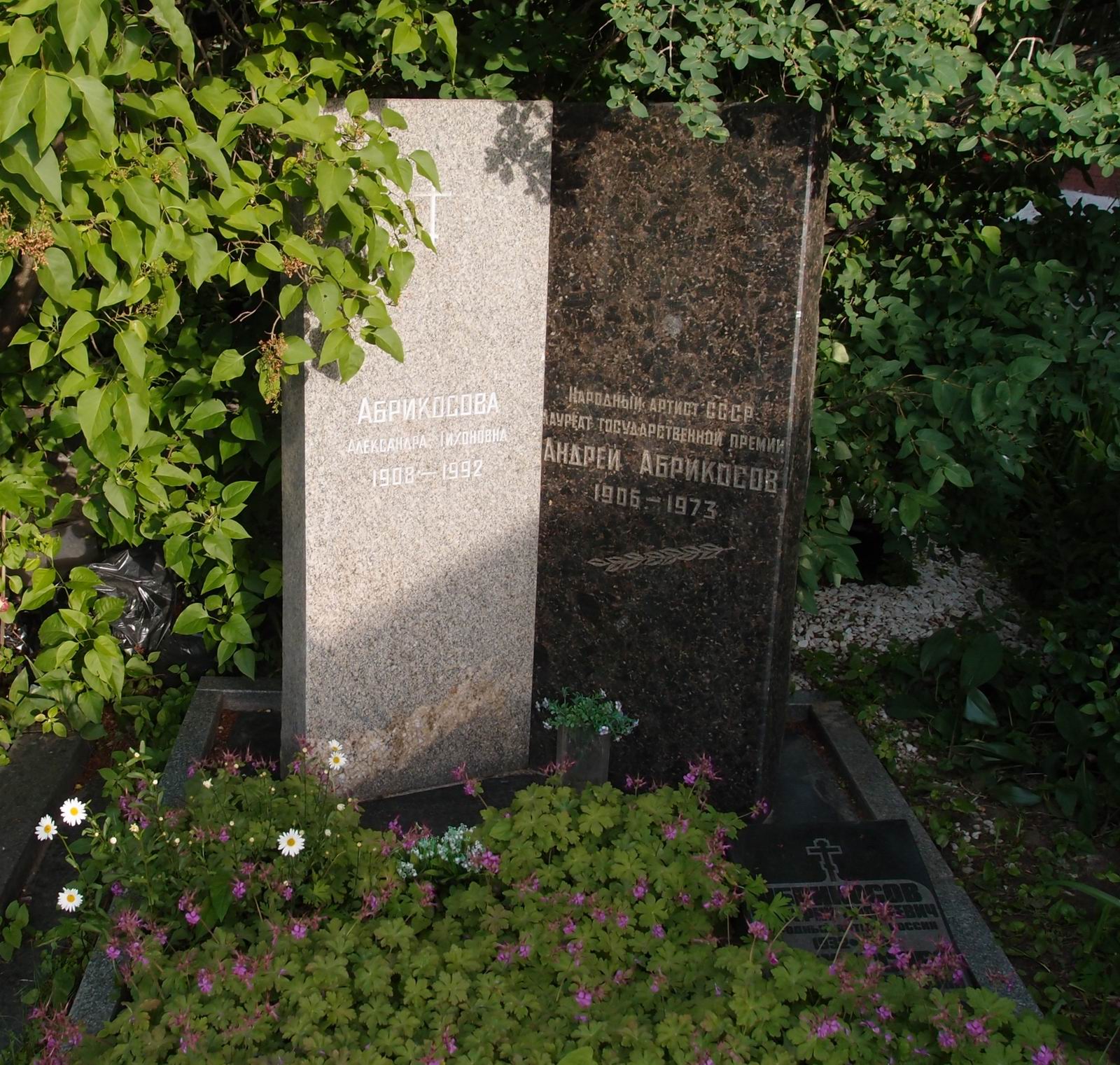 Памятник на могиле Абрикосова А.Л. (1906-1973), на Новодевичьем кладбище (7-6-24).