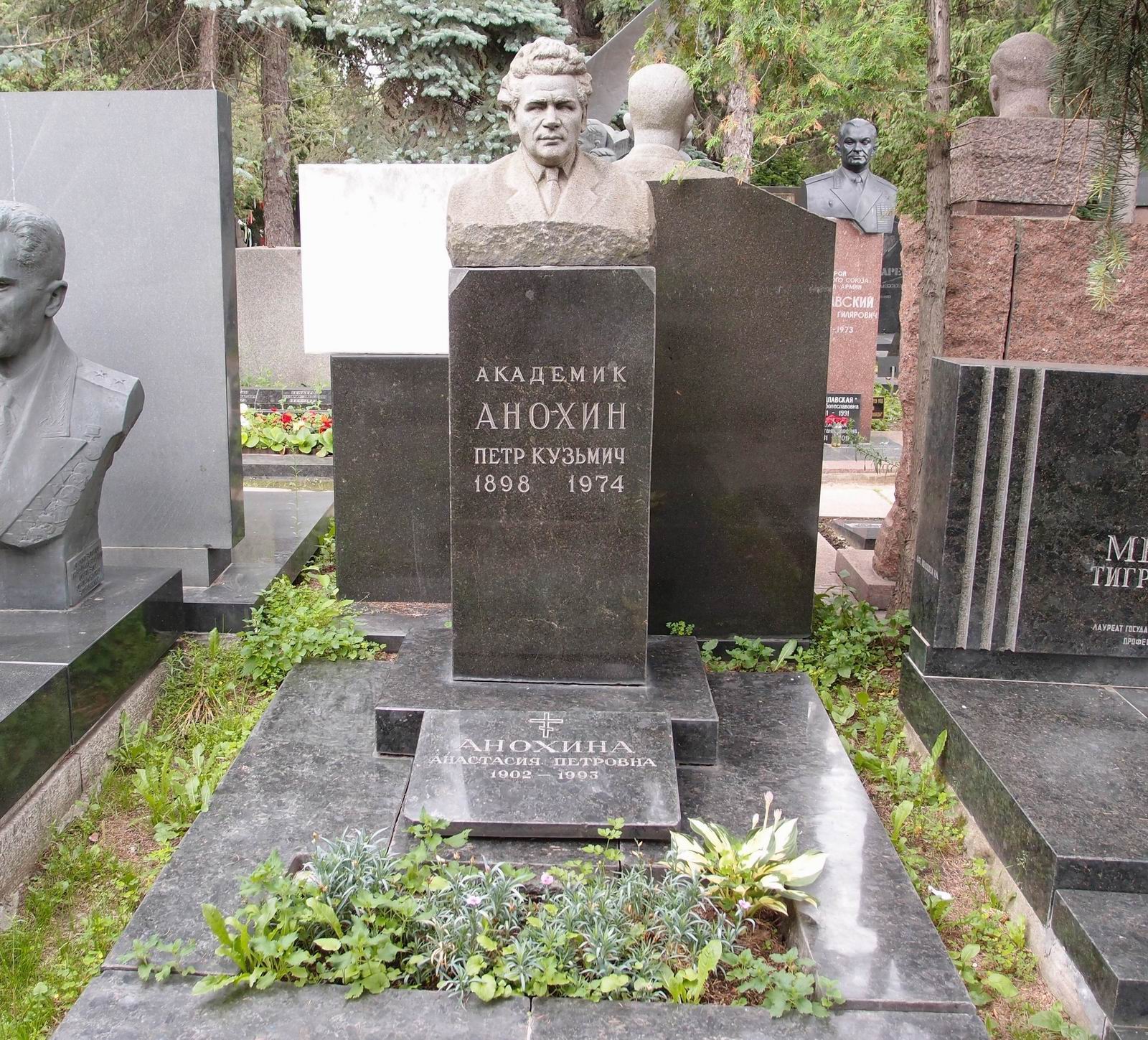 Памятник на могиле Анохина П.К. (1898–1974), на Новодевичьем кладбище (7–8–14).
