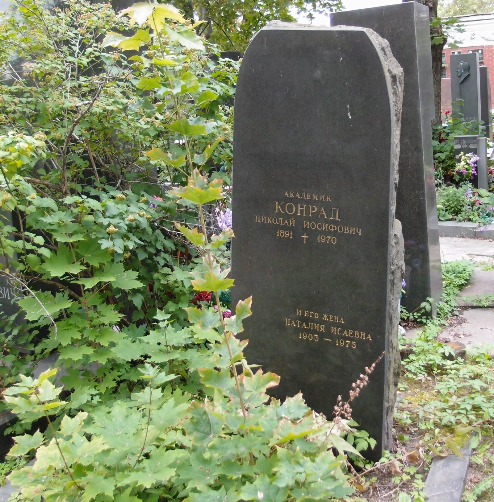 Памятник на могиле Конрада Н.И. (1891–1970), на Новодевичьем кладбище (7–15–5).