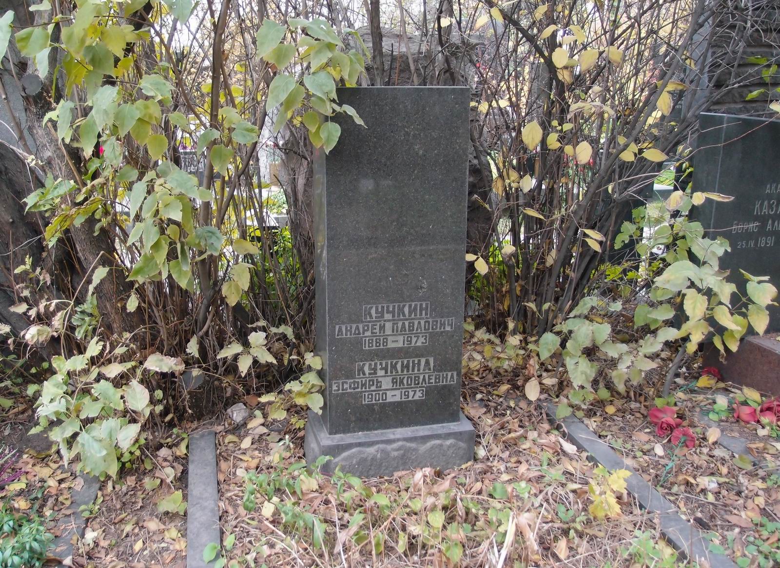 Памятник на могиле Кучкина А.П. (1888–1973), на Новодевичьем кладбище (7–5–22).