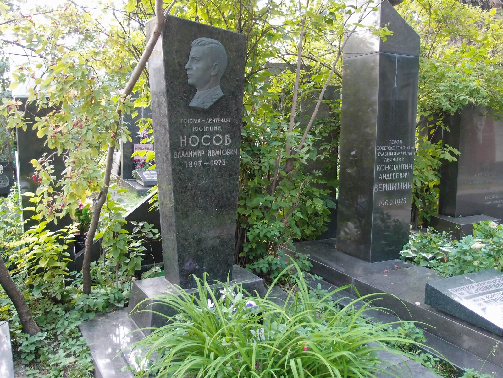 Памятник на могиле Носова В.И. (1897-1973), на Новодевичьем кладбище (7-7-19).