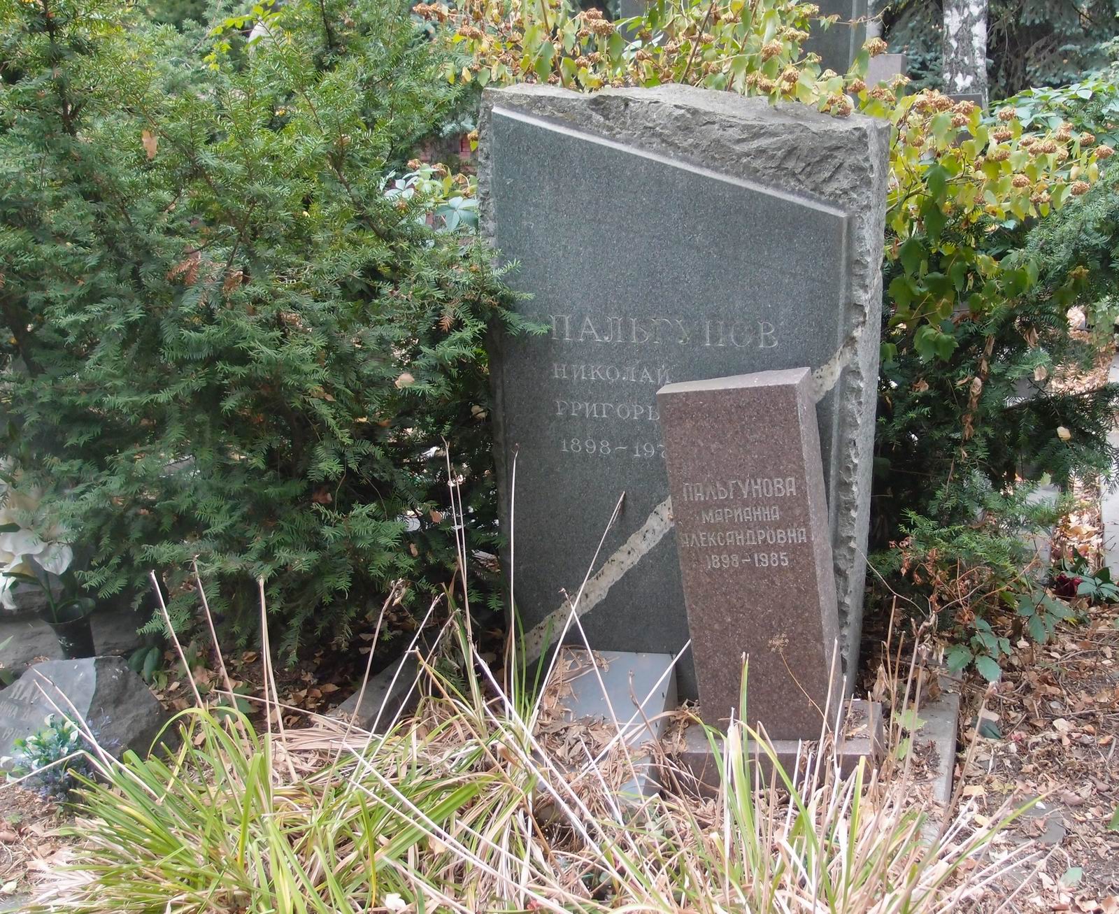 Памятник на могиле Пальгунова Н.Г. (1898–1971), на Новодевичьем кладбище (7–16–3).