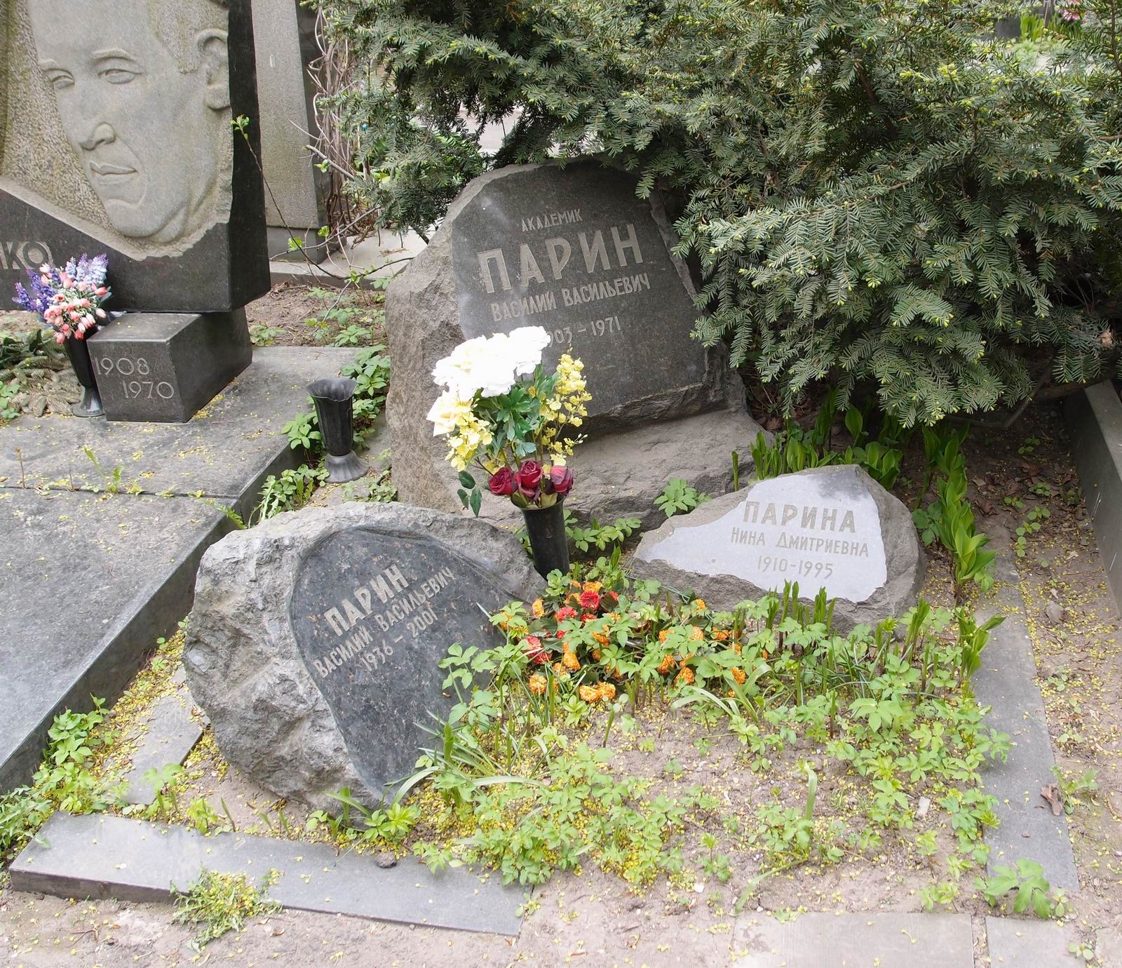 Памятник на могиле Парина В.В. (1903–1971), на Новодевичьем кладбище (7–16–2).