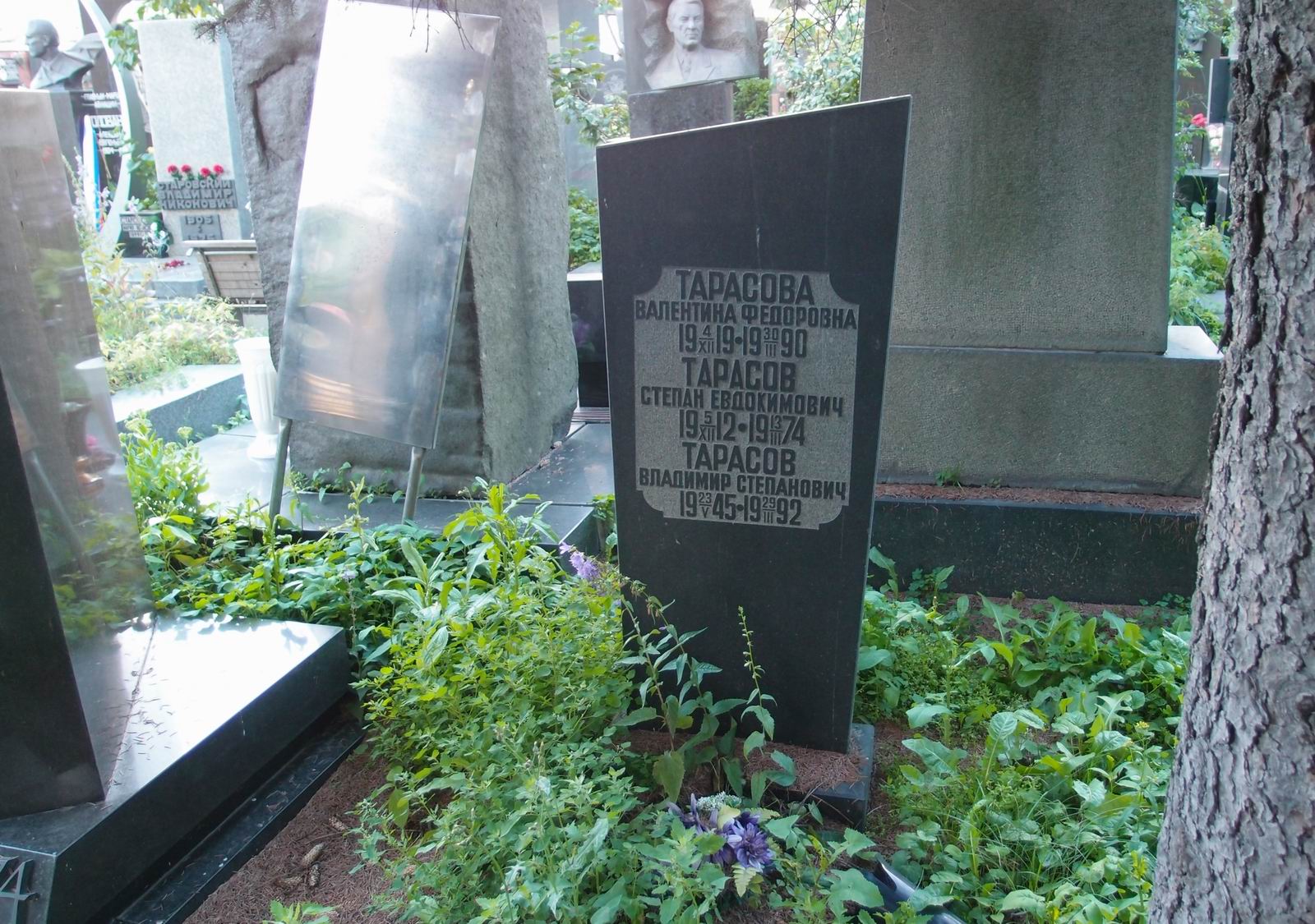 Памятник на могиле Тарасова С.Е. (1912-1974), на Новодевичьем кладбище (7-9-15).
