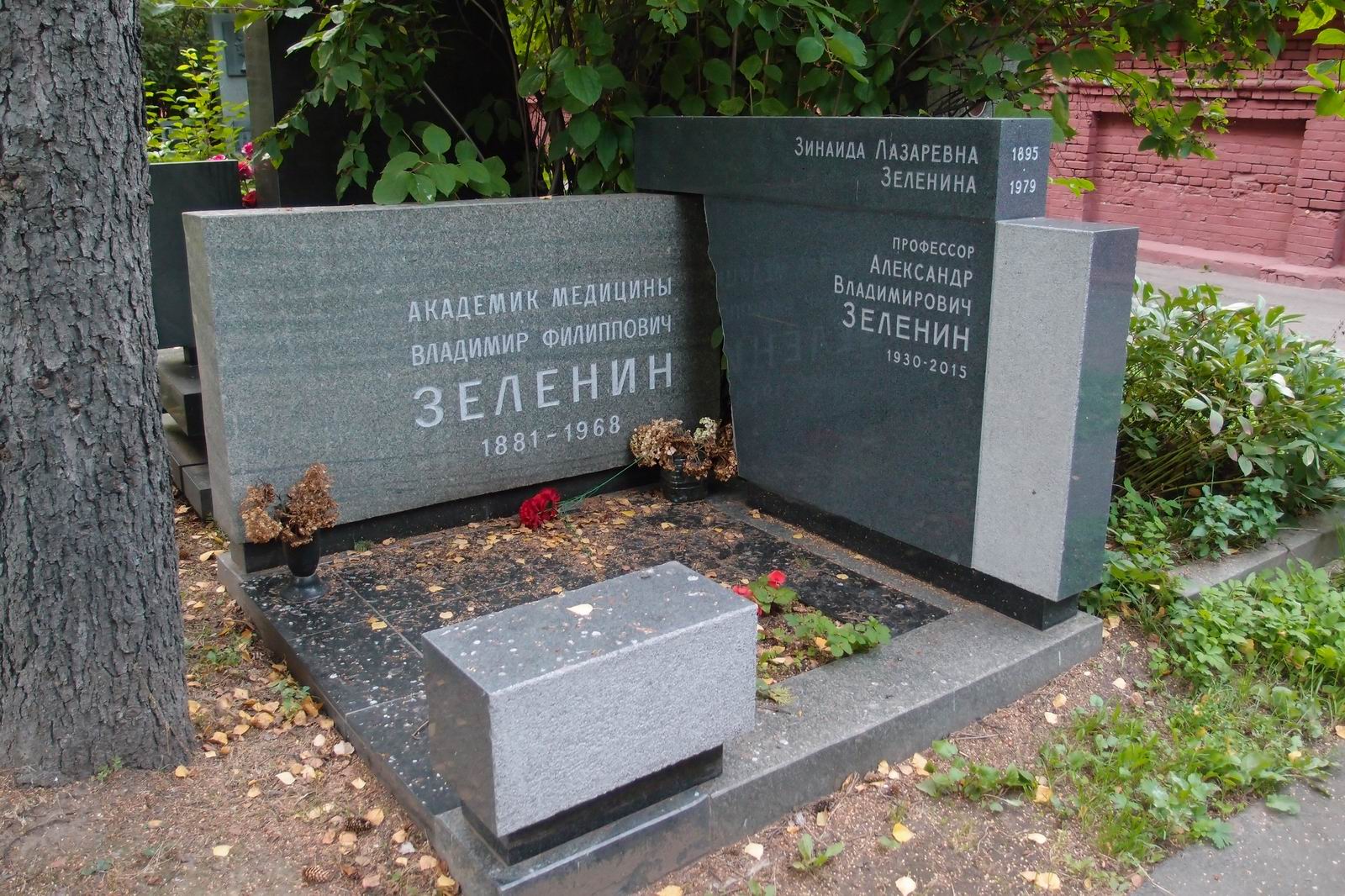 Памятник на могиле Зеленина В.Ф. (1881-1968), на Новодевичьем кладбище (7-5-2).
