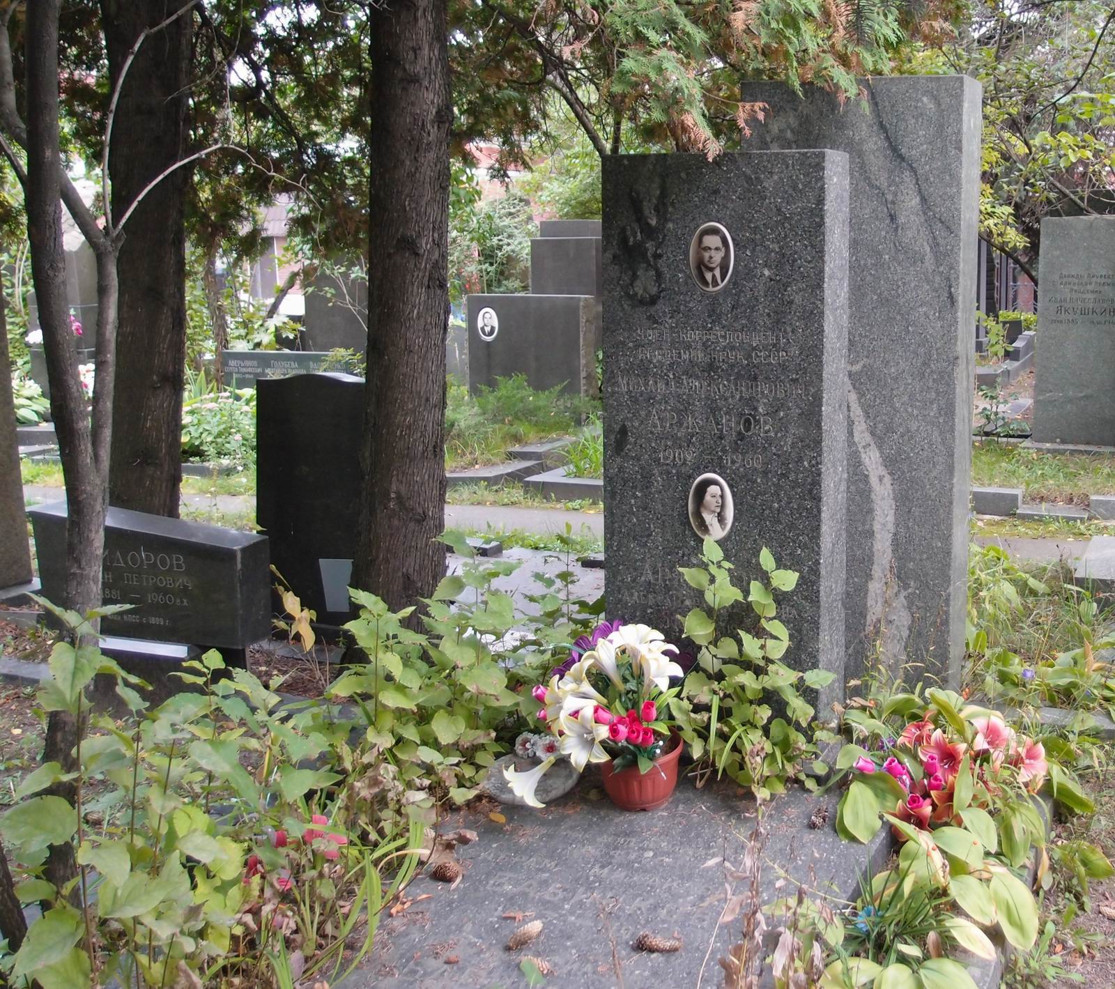 Памятник на могиле Аржанова М.А. (1902-1960), на Новодевичьем кладбище (8-6-6).