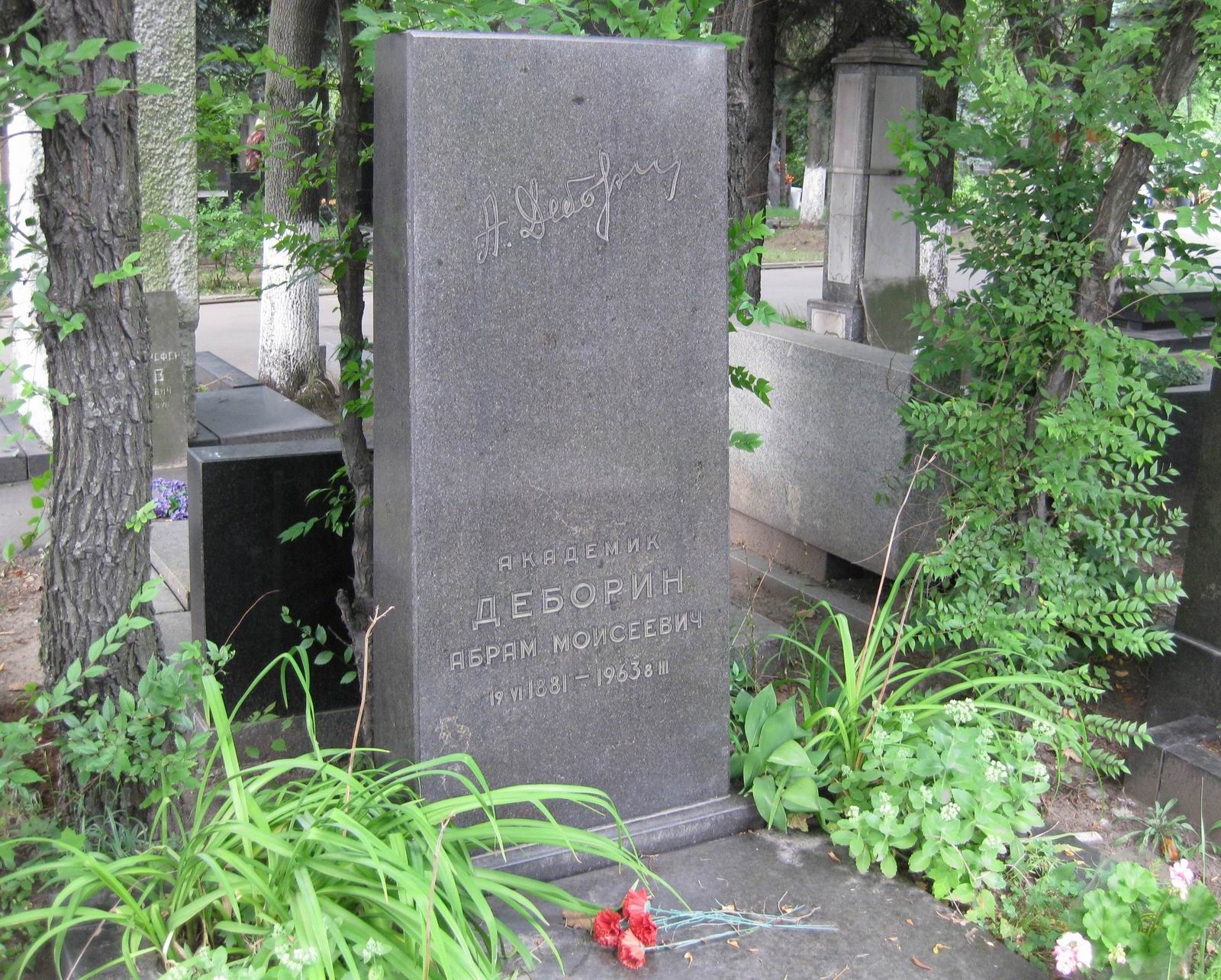 Памятник на могиле Деборина А.М. (1881-1963), на Новодевичьем кладбище (8-25-9).