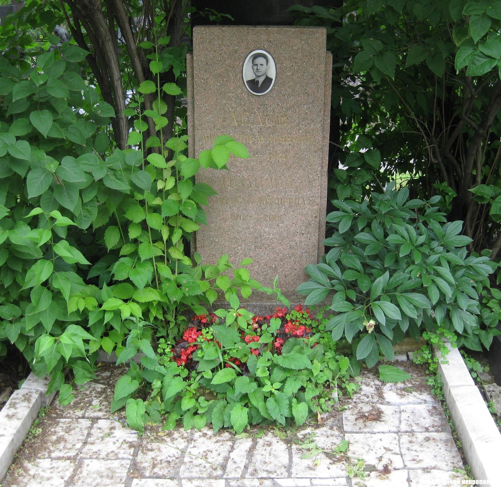 Памятник на могиле Дедова А.Л. (1913-1961), на Новодевичьем кладбище (8-11-4).