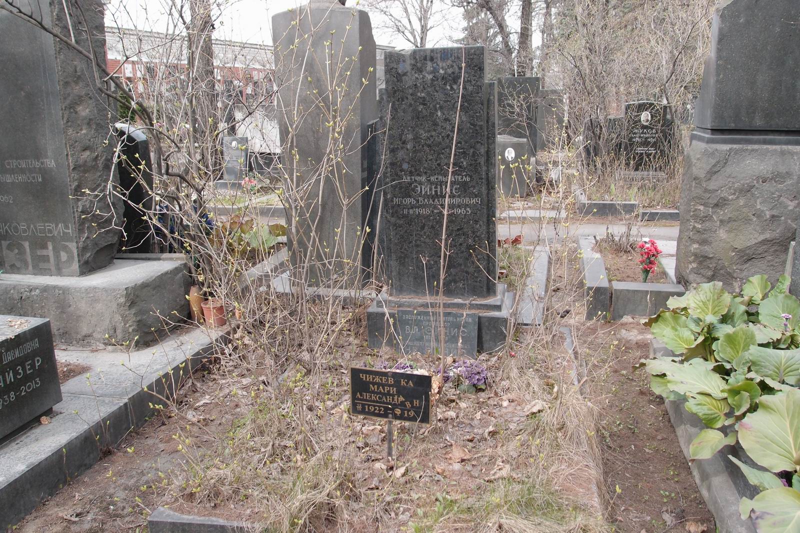 Памятник на могиле Эйниса В.Л. (1890-1978), на Новодевичьем кладбище (8-21-10).