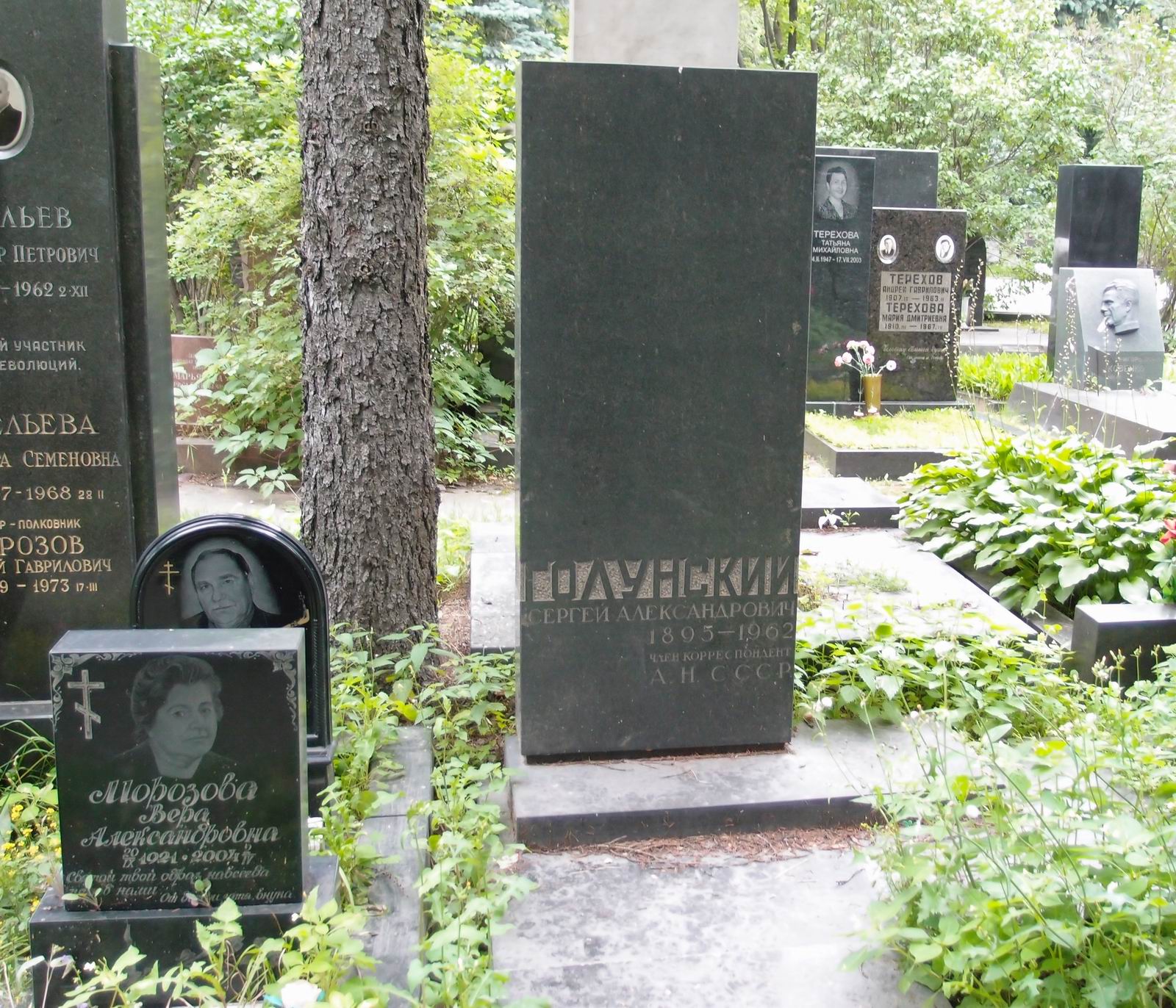 Памятник на могиле Голунского С.А. (1895-1962), на Новодевичьем кладбище (8-21-4).