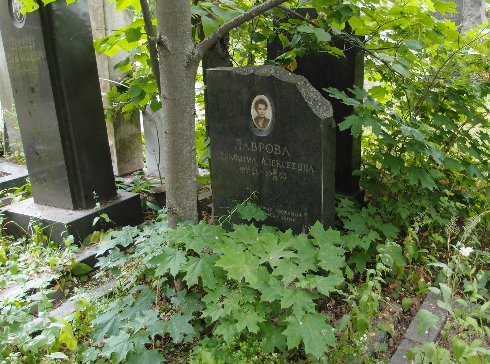 Памятник на могиле Лавровой С.А. (1924–1963), на Новодевичьем кладбище (8–31–3).