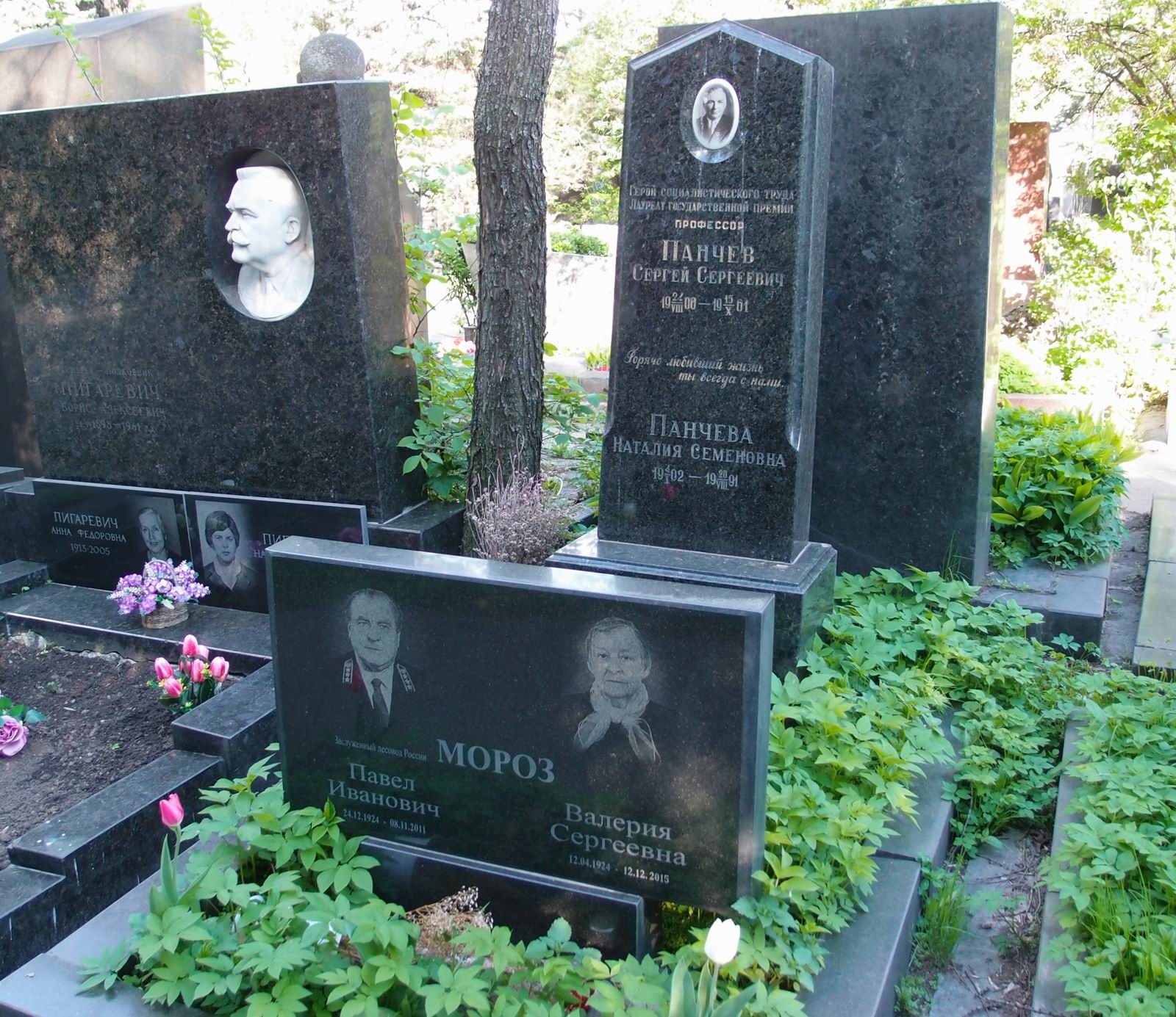 Памятник на могиле Панчева С.С. (1900-1961), на Новодевичьем кладбище (8-13-3).