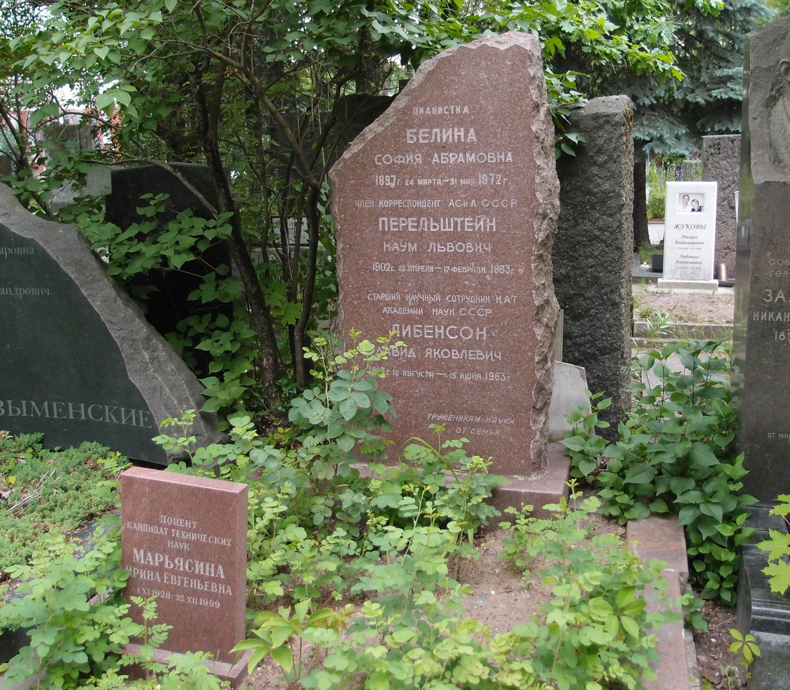 Памятник на могиле Перельштейна Н.Л. (1902–1963), на Новодевичьем кладбище (8–23–5).