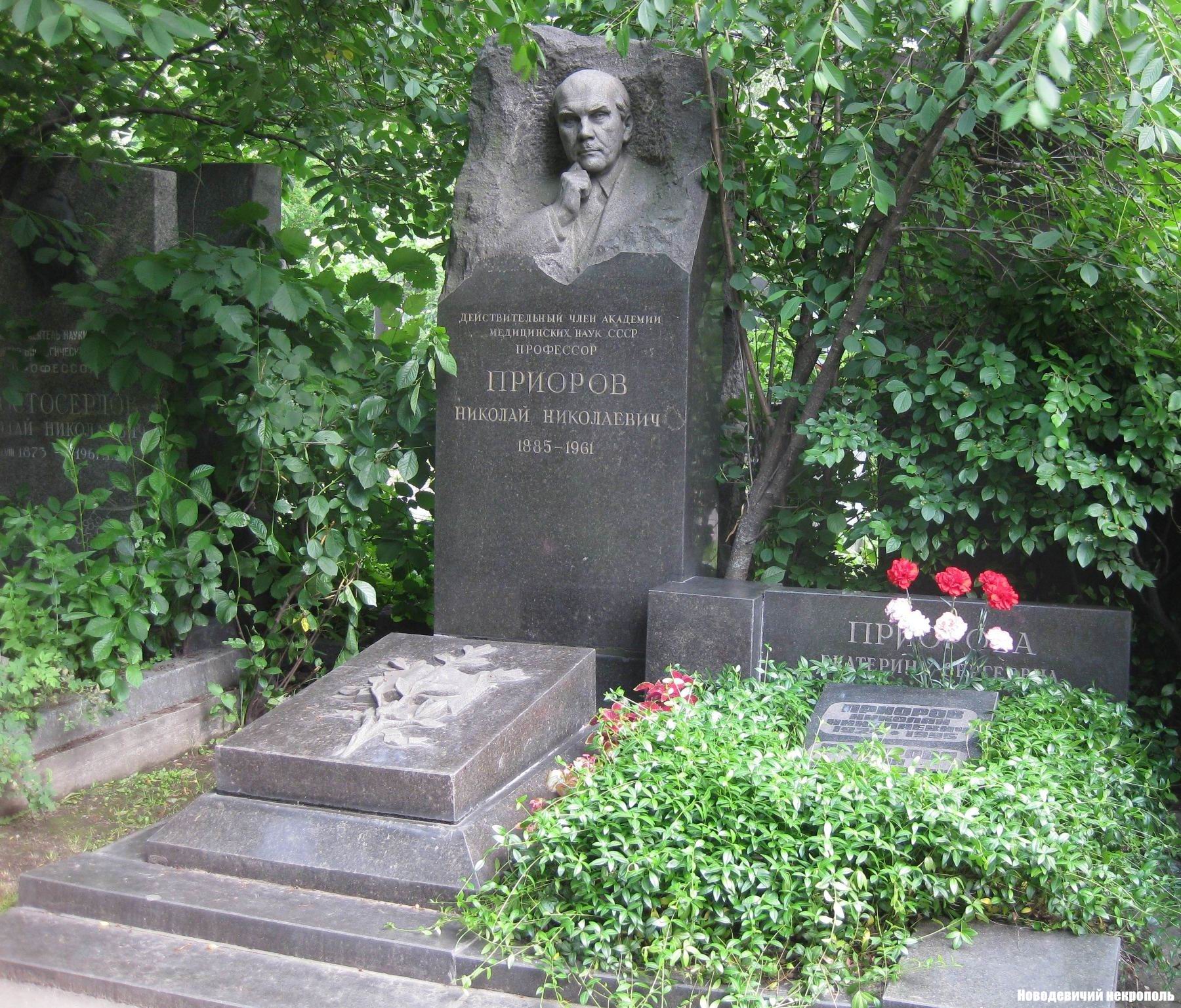 Памятник на могиле Приорова Н.Н. (1885-1961), ск. А.Елецкий, на Новодевичьем кладбище (8-11-16).