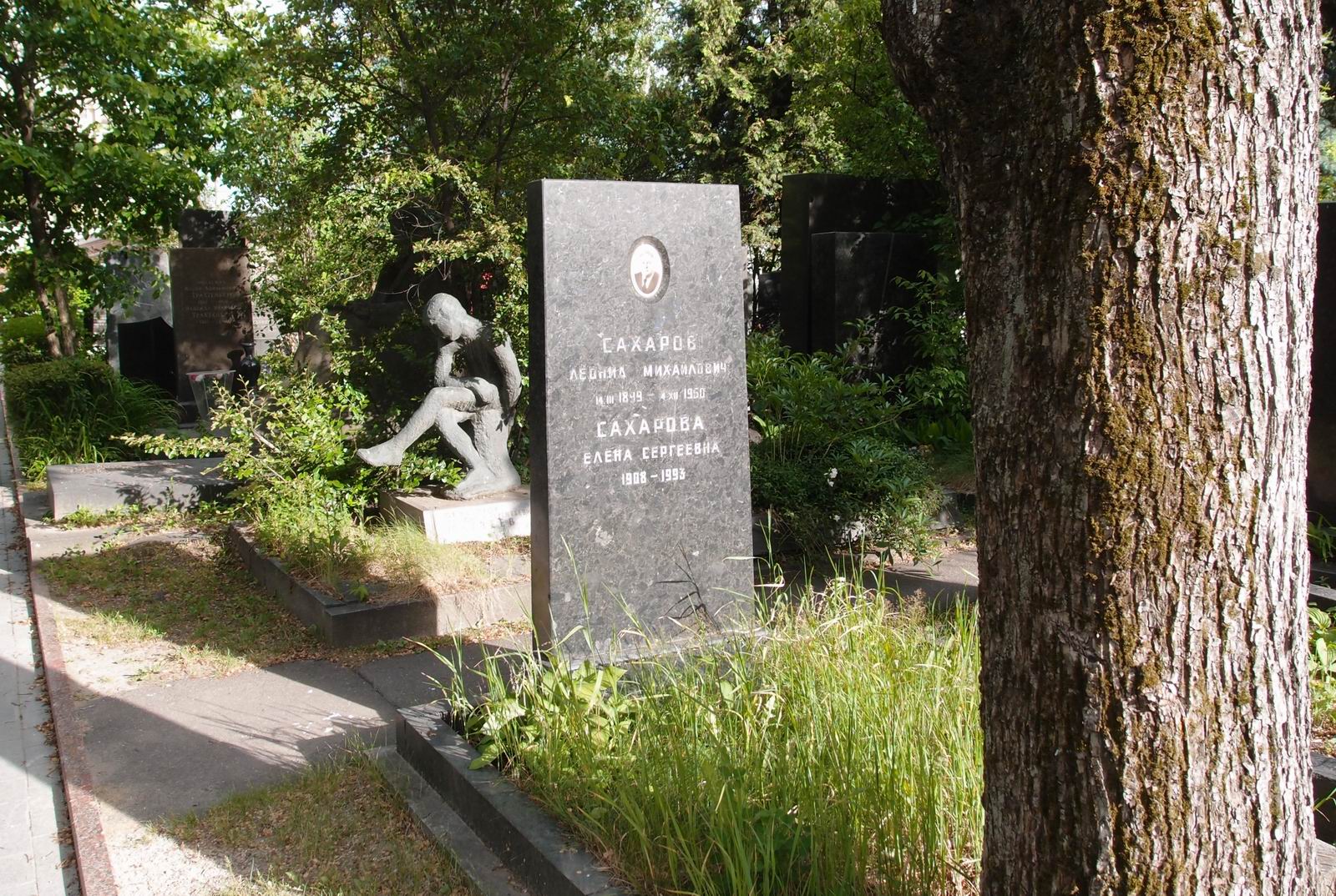 Памятник на могиле Сахарова Л.М. (1899-1960), на Новодевичьем кладбище (8-9-1).
