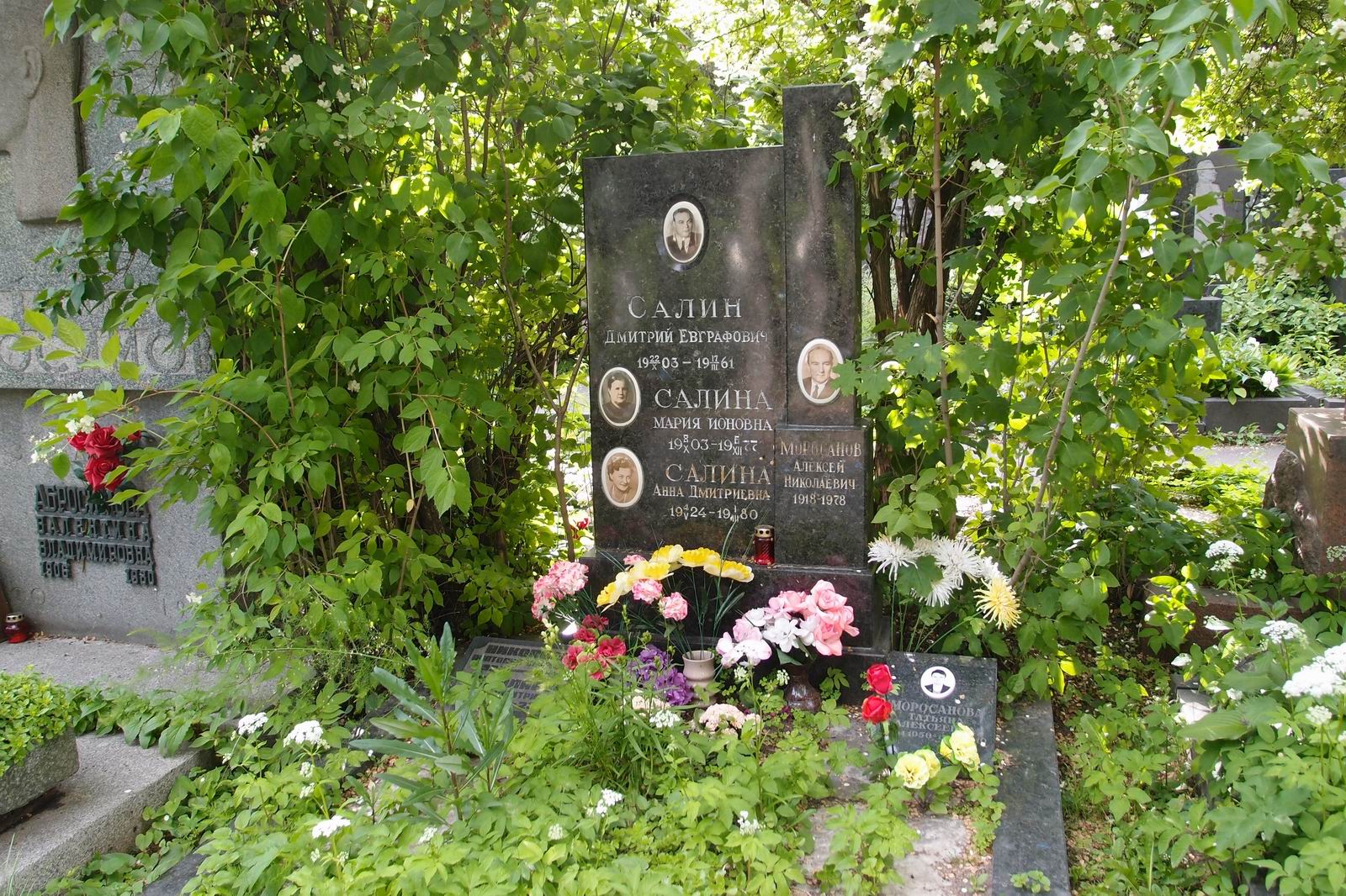 Памятник на могиле Салина Д.Е. (1903–1961), на Новодевичьем кладбище (8–10–4).
