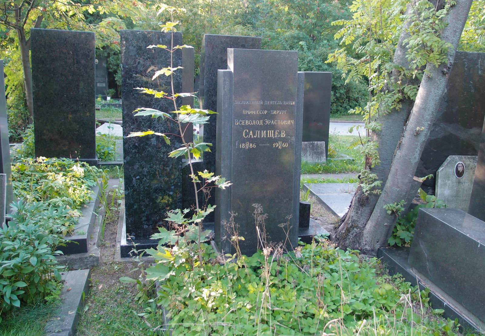 Памятник на могиле Салищева В.Э. (1886–1960), на Новодевичьем кладбище (8–7–10).