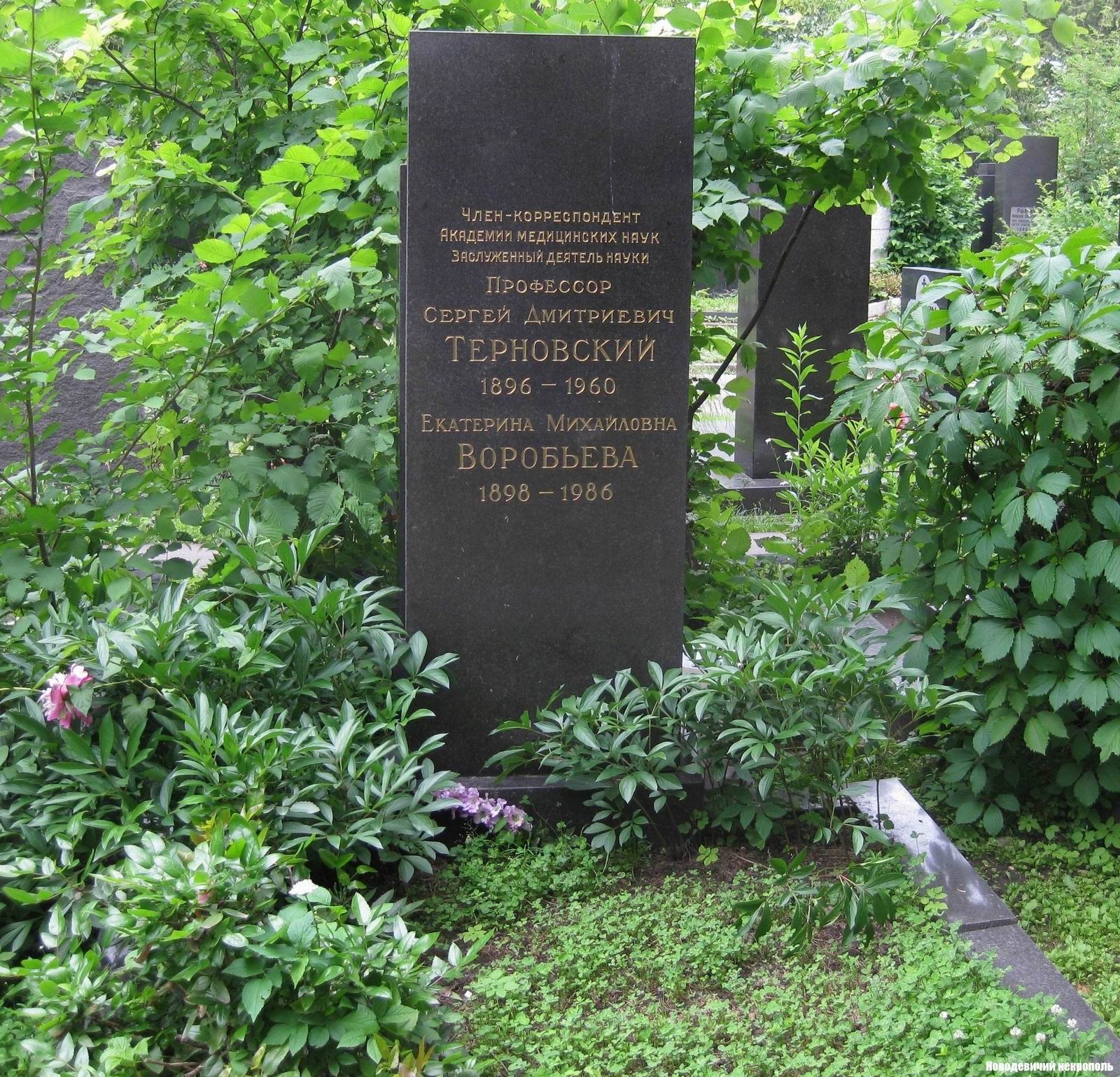 Памятник на могиле Терновского С.Д. (1896–1960), на Новодевичьем кладбище (8–7–11).