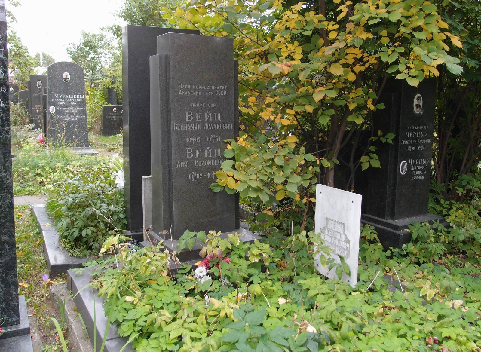 Памятник на могиле Вейца В.И. (1905-1961), на Новодевичьем кладбище (8-8-11).