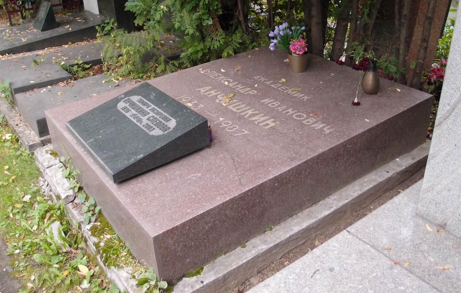 Памятник на могиле Анчишкина А.И. (1933-1987), на Новодевичьем кладбище (10-4-10).
