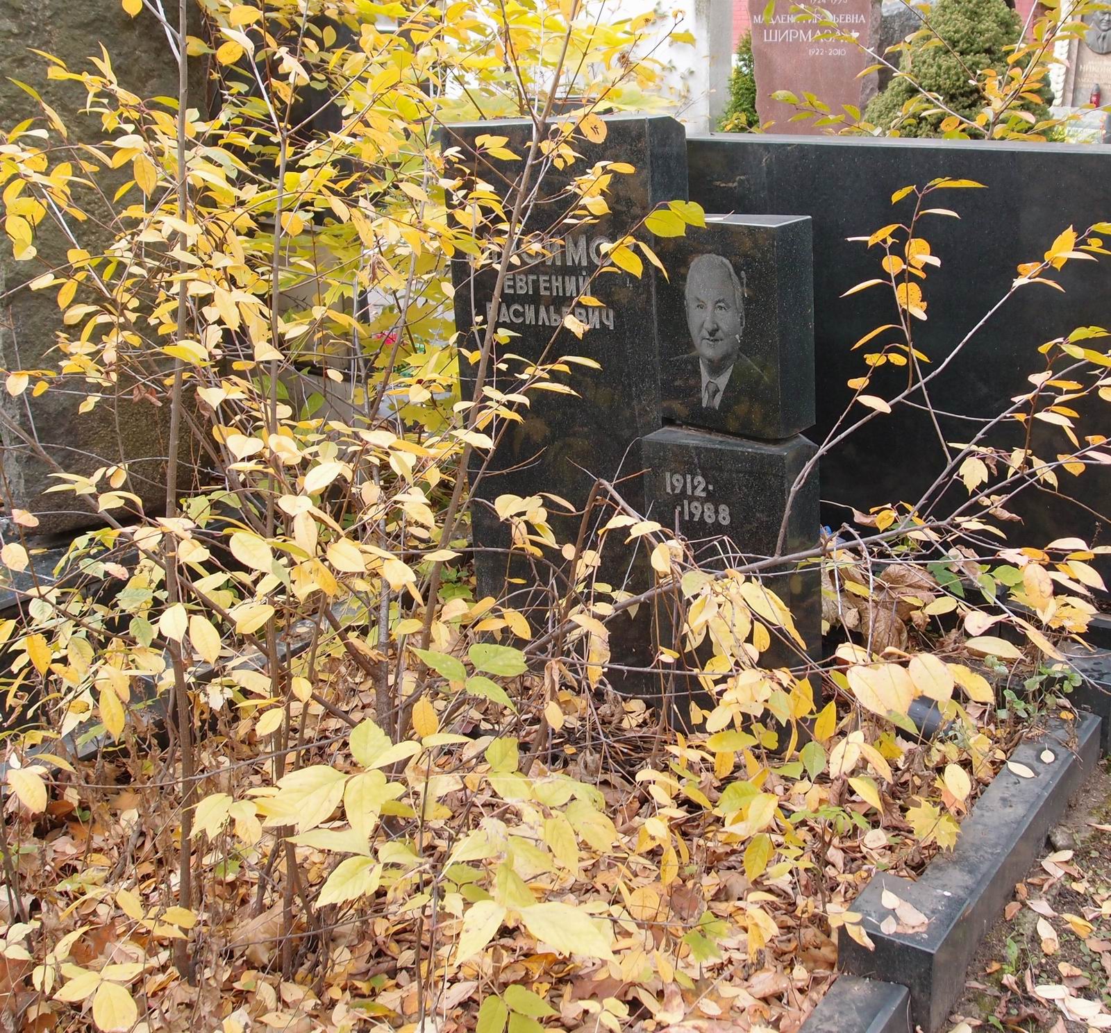 Памятник на могиле Анисимова Е.В. (1912–1988), на Новодевичьем кладбище (10–5–8).