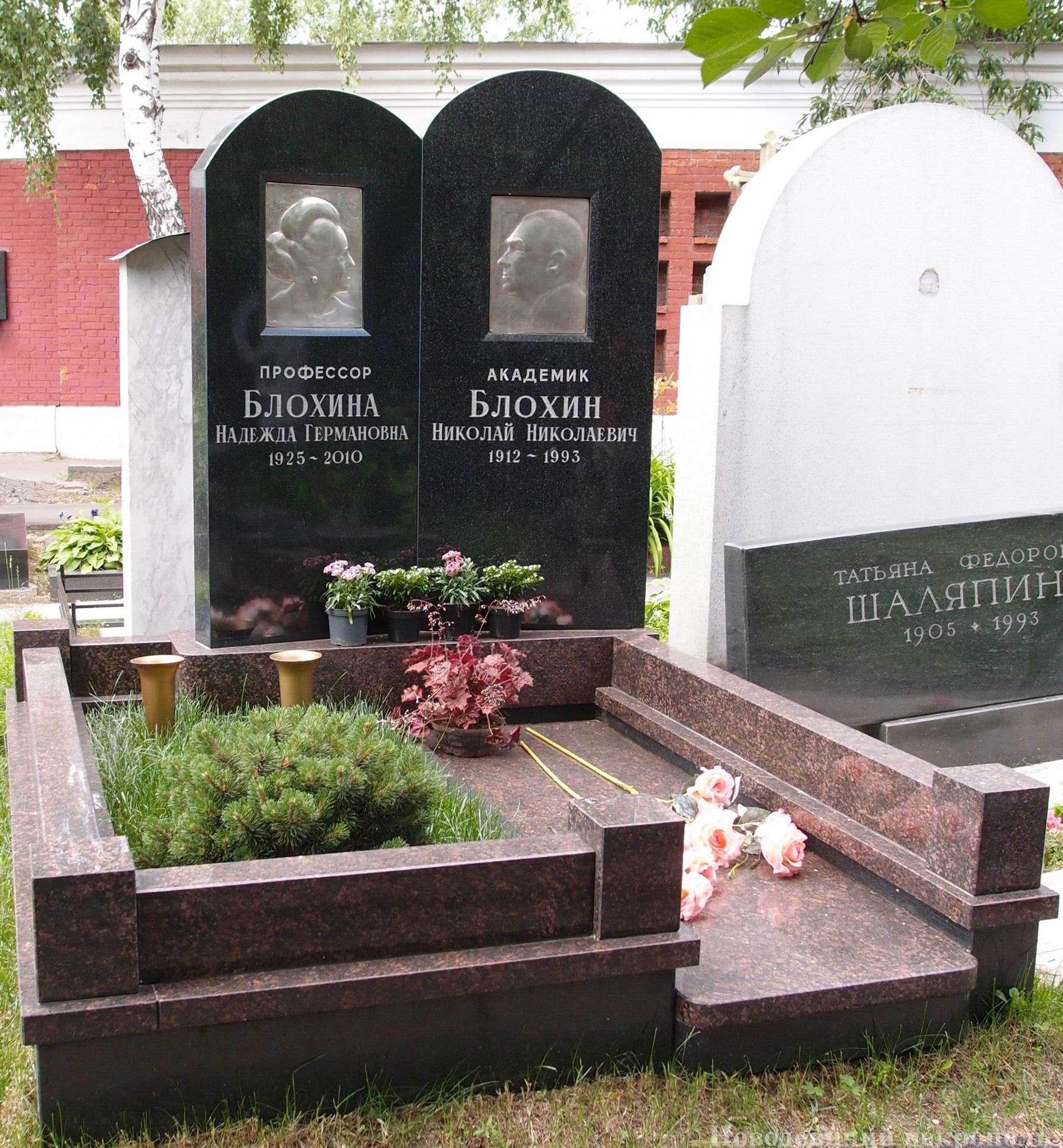Памятник на могиле Блохину Н.Н. (1912–1993), на Новодевичьем кладбище (10–7–10). Нажмите левую кнопку мыши чтобы увидеть предыдущий вариант до 2010.