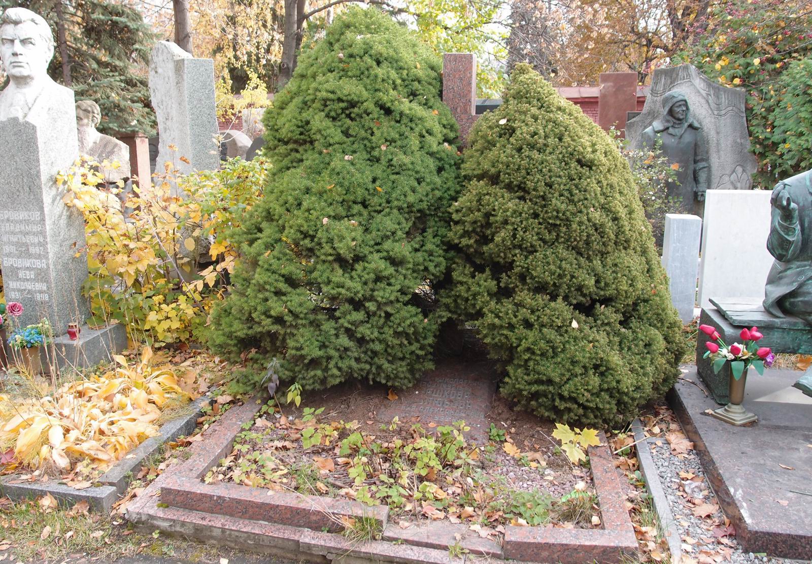 Памятник на могиле Боголюбова Н.Н. (1909-1992), на Новодевичьем кладбище (10-6-17).