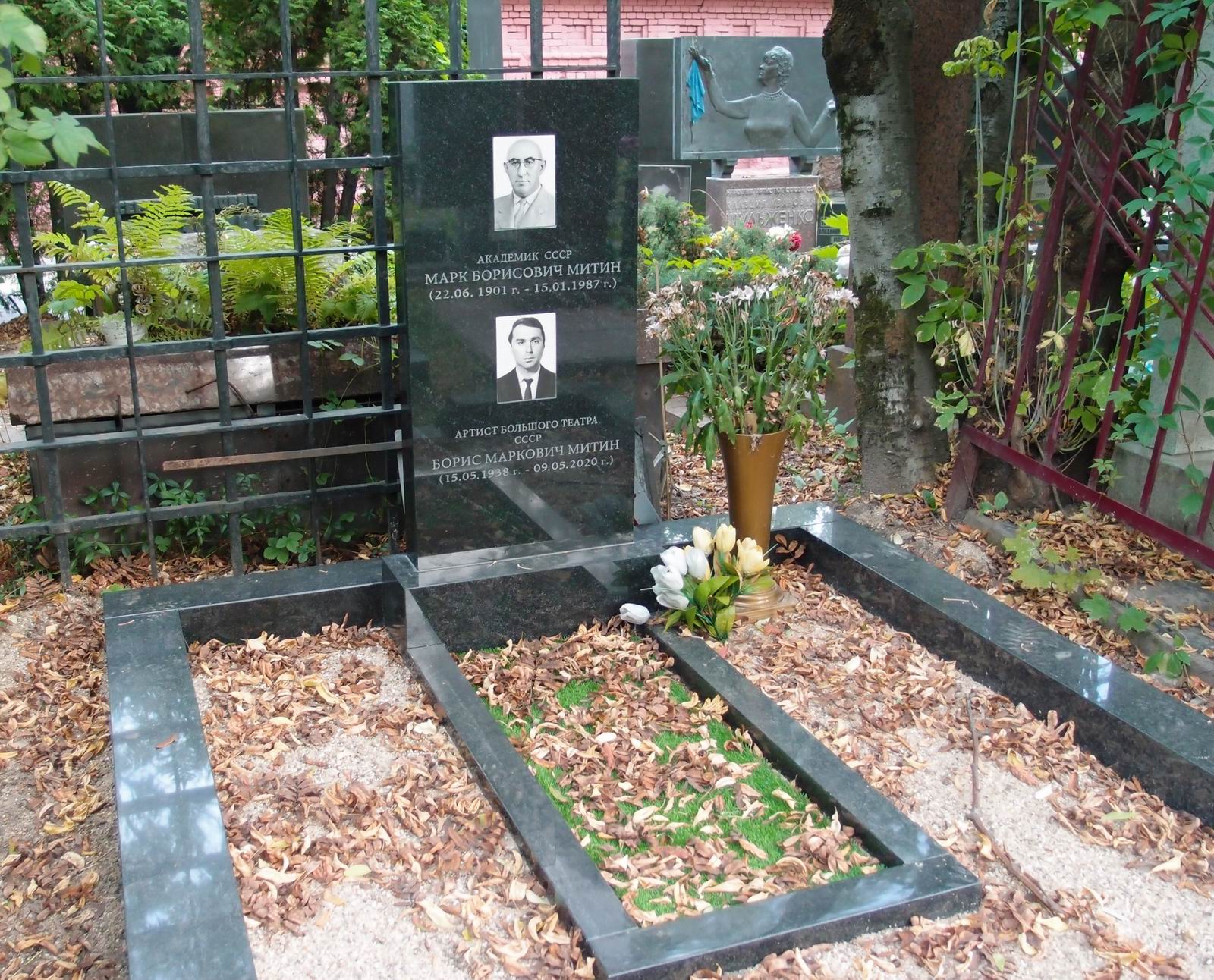 Памятник на могиле Митина М.Б. (1901-1987), на Новодевичьем кладбище (10-4-6).