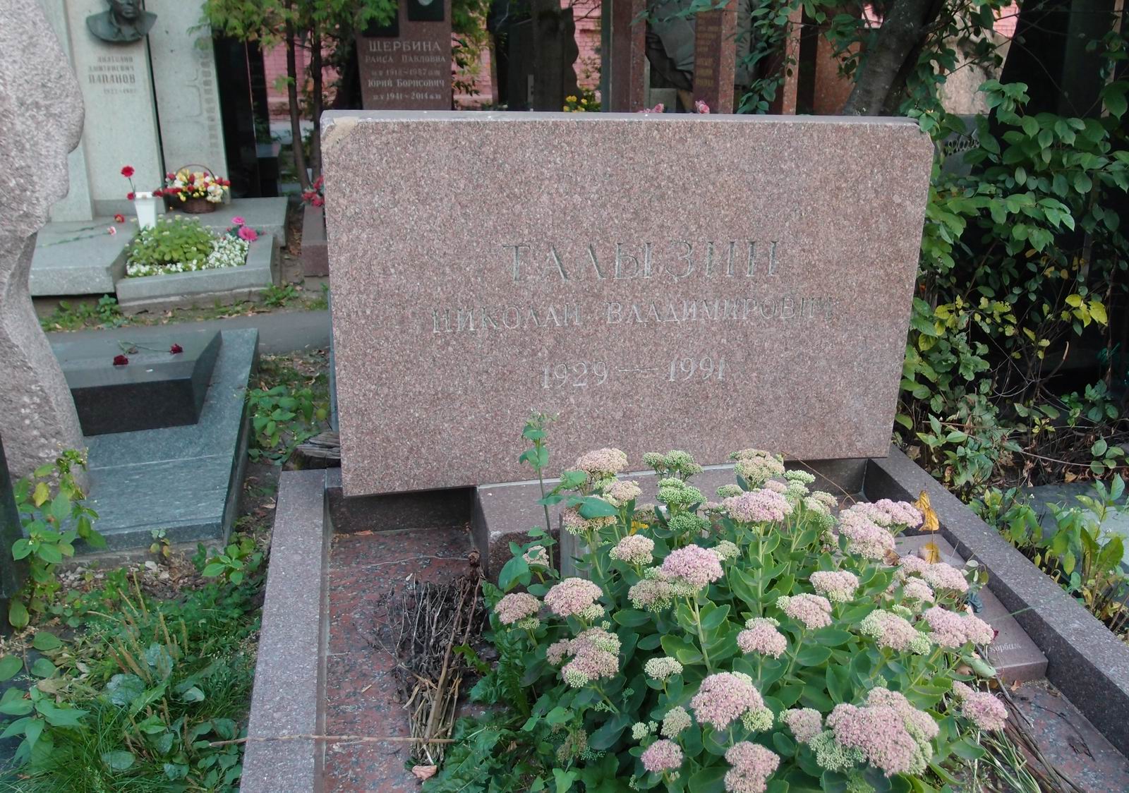 Памятник на могиле Талызина Н.В. (1929-1990), на Новодевичьем кладбище (10-6-12).