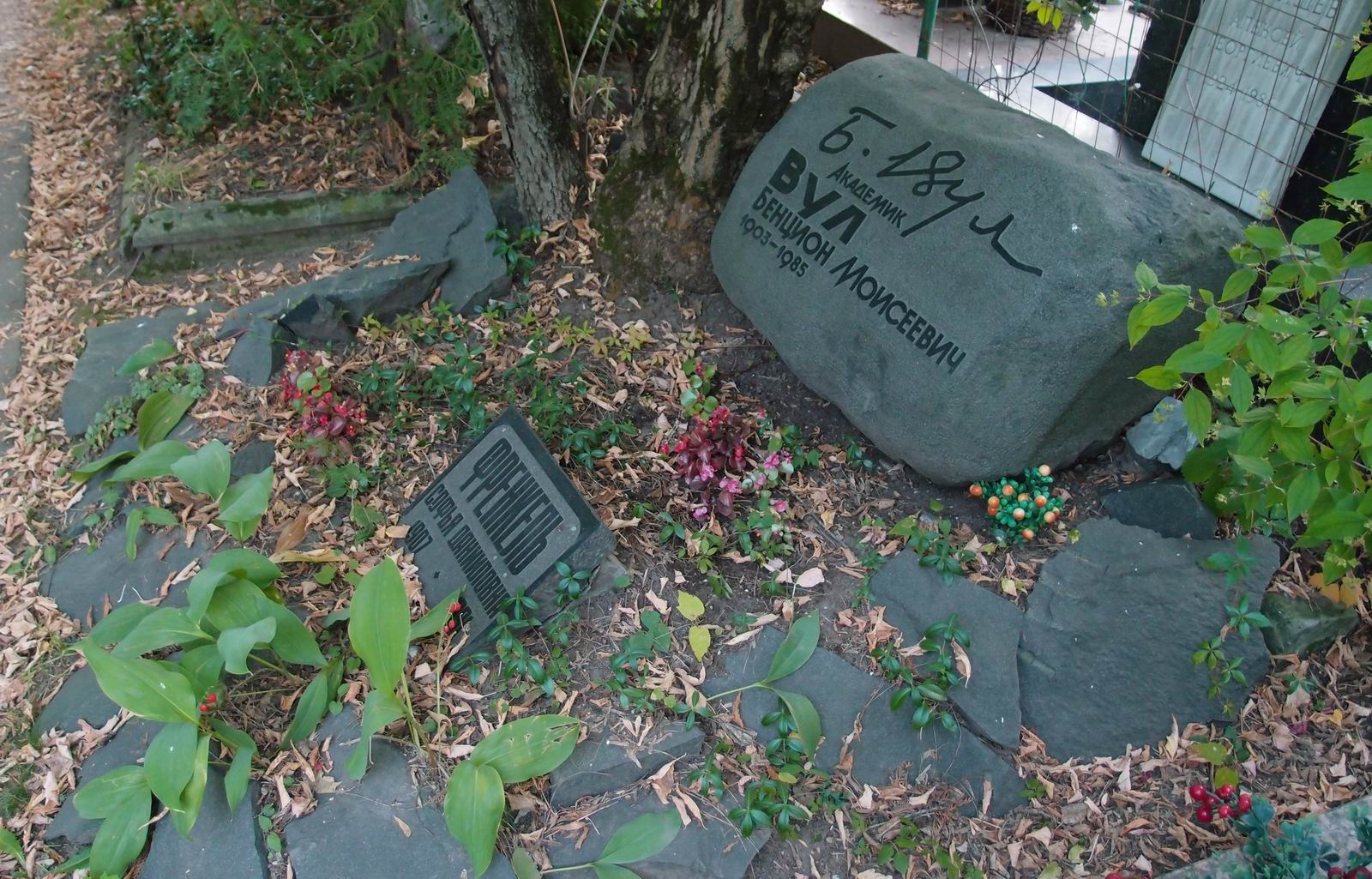 Памятник на могиле Вула Б.М. (1903-1985), на Новодевичьем кладбище (10-3-2).