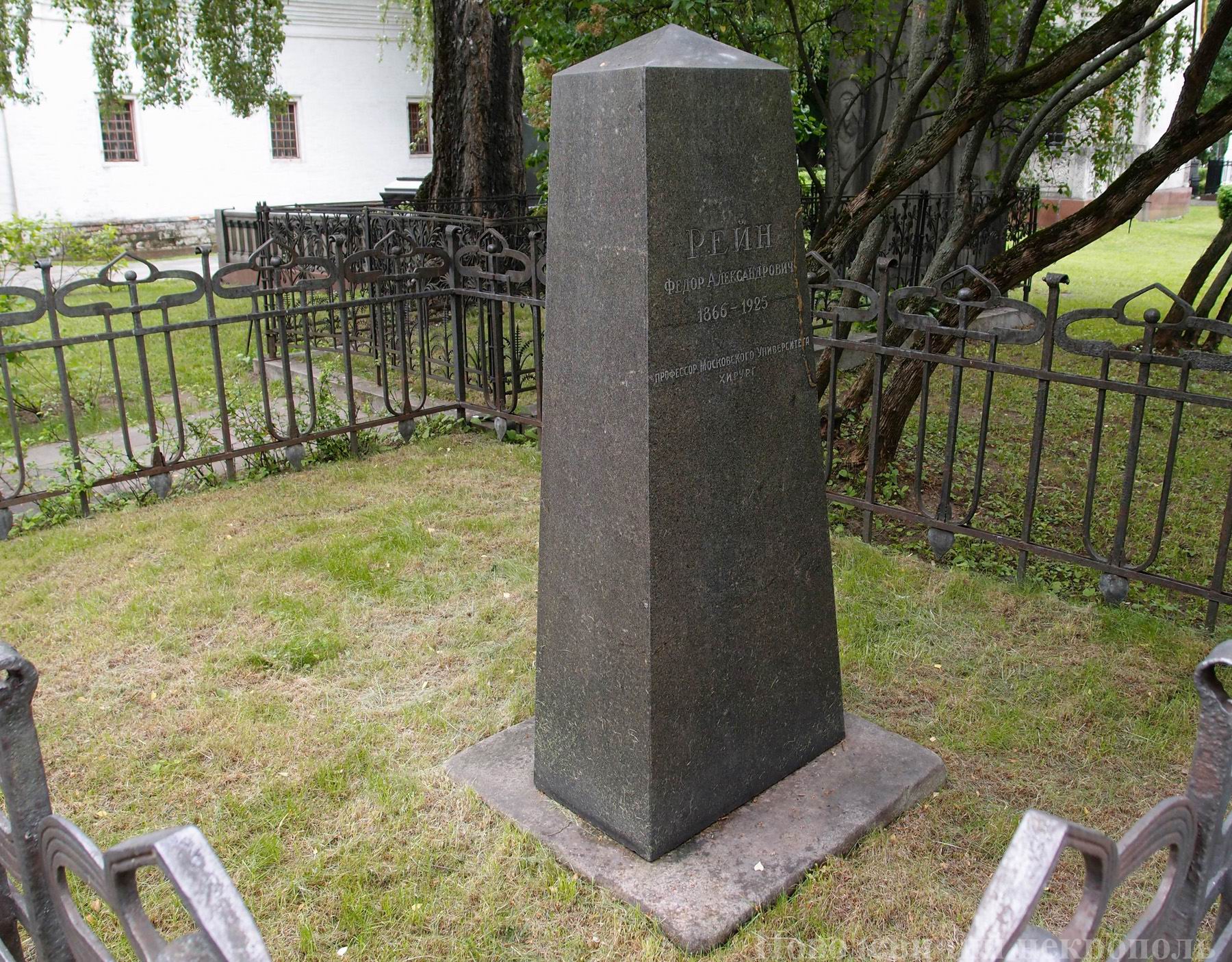 Памятник на могиле Рейна Ф.А. (1866-1925), в Новодевичьем монастыре.