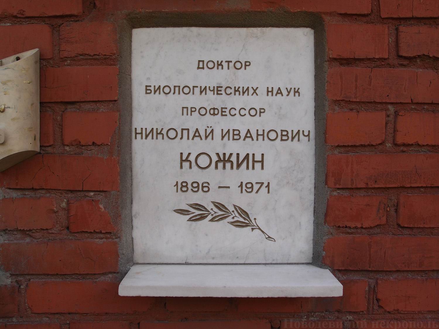 Плита на нише Кожина Н.И. (1896-1971), на Новодевичьем кладбище (колумбарий [135]-45-3).
