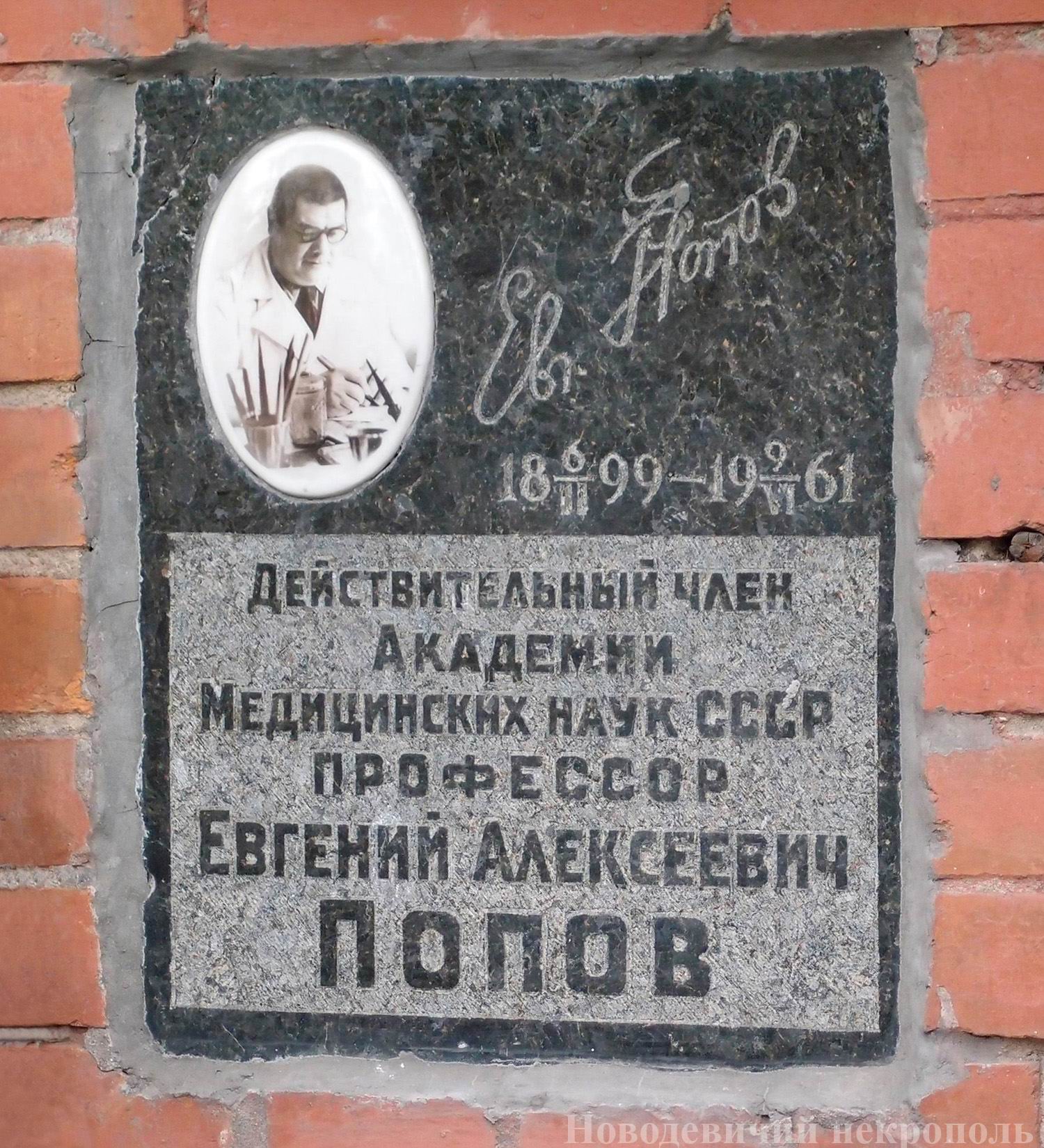 Плита на нише Попова Е.А. (1899–1961), на Новодевичьем кладбище (колумбарий [120]–6–3).