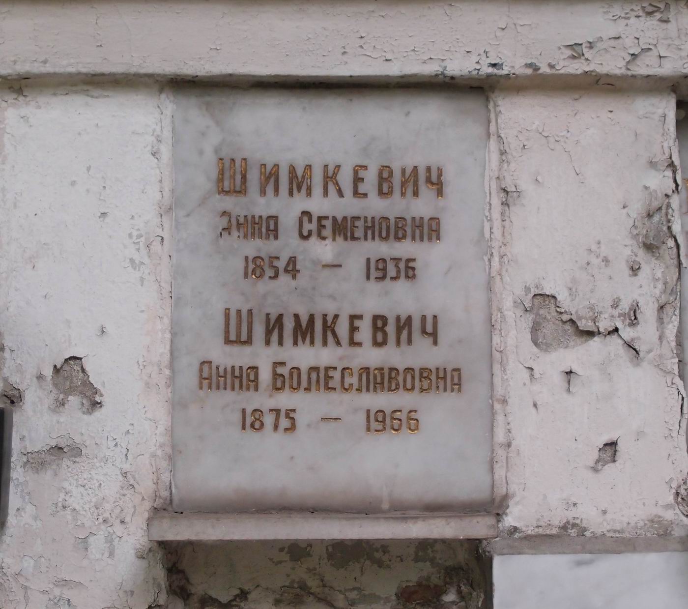 Плита на нише Шимкевич А.С. (1854–1936), на Новодевичьем кладбище (колумбарий [22]–4–1).