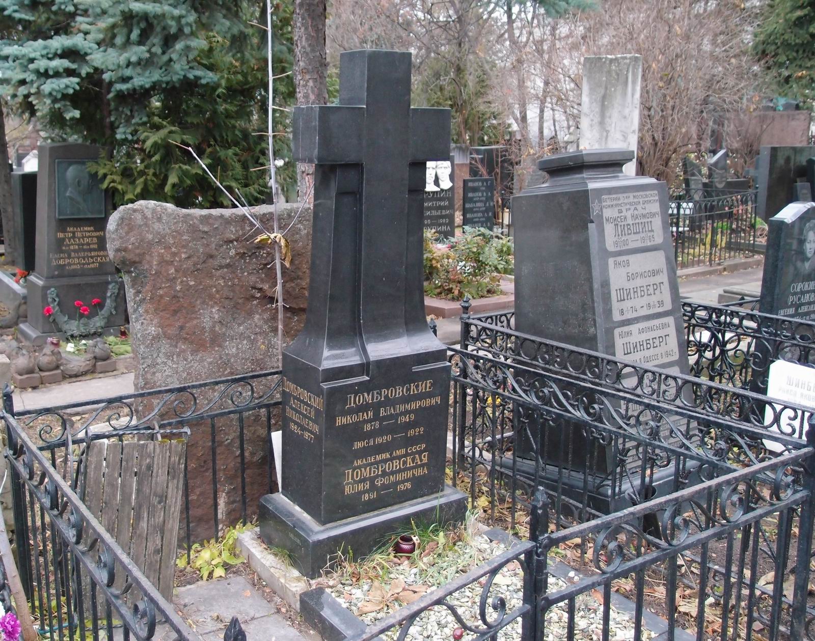 Памятник на могиле Домбровской Ю.Ф. (1891–1976), на Новодевичьем кладбище (1–10–2).