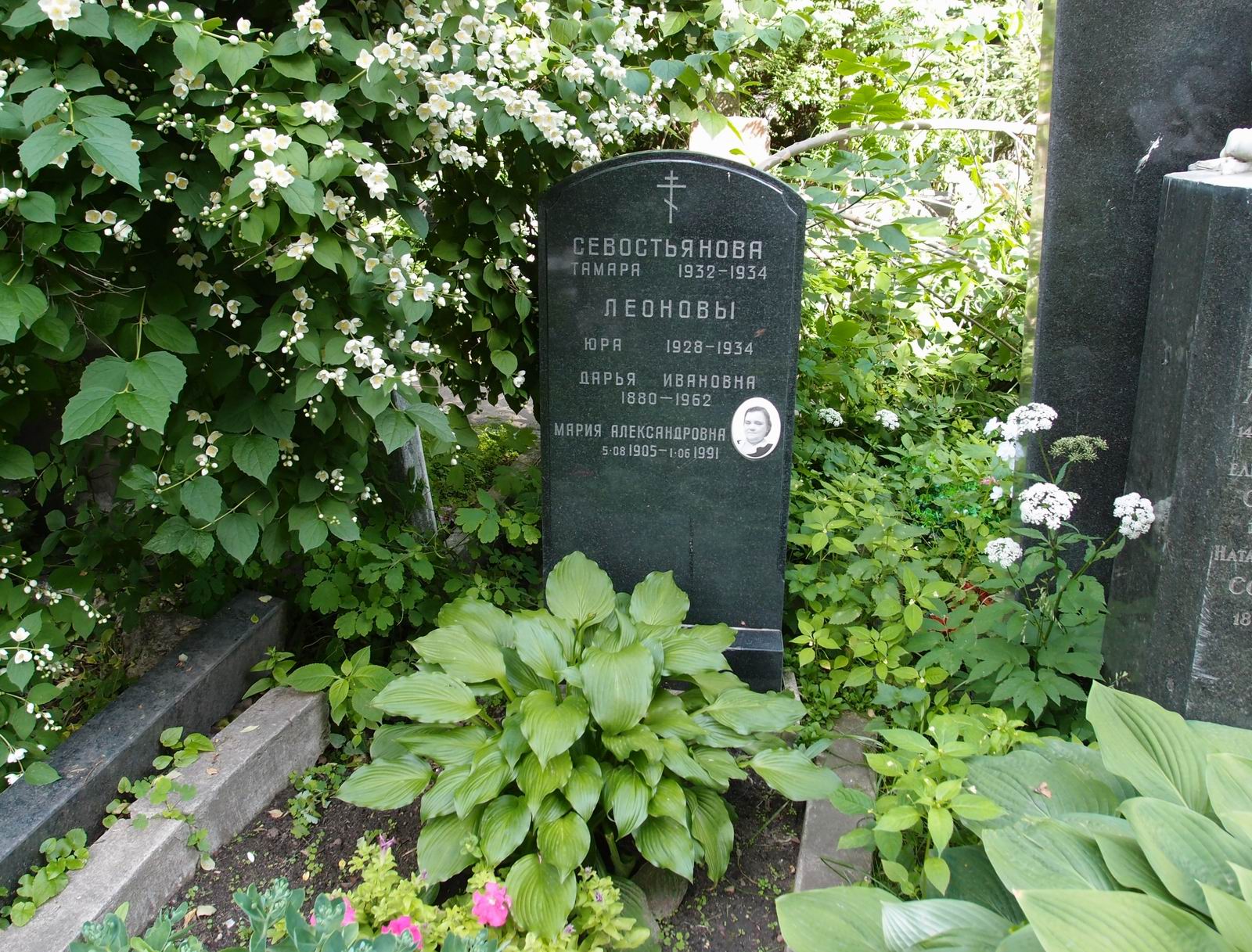 Памятник на могиле Леоновой Д.И. (1881–1962), на Новодевичьем кладбище (2–24–12).