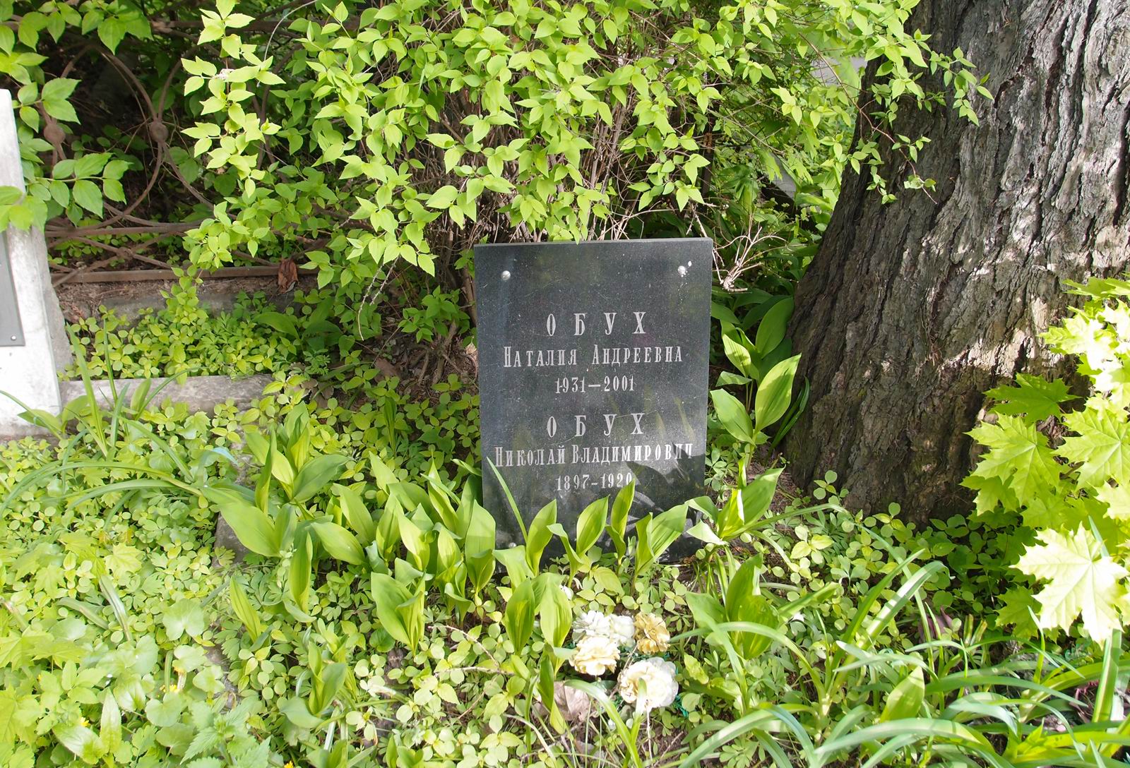 Памятник на могиле Обуха Н.В. (1897–1920), на Новодевичьем кладбище (2–28–11).