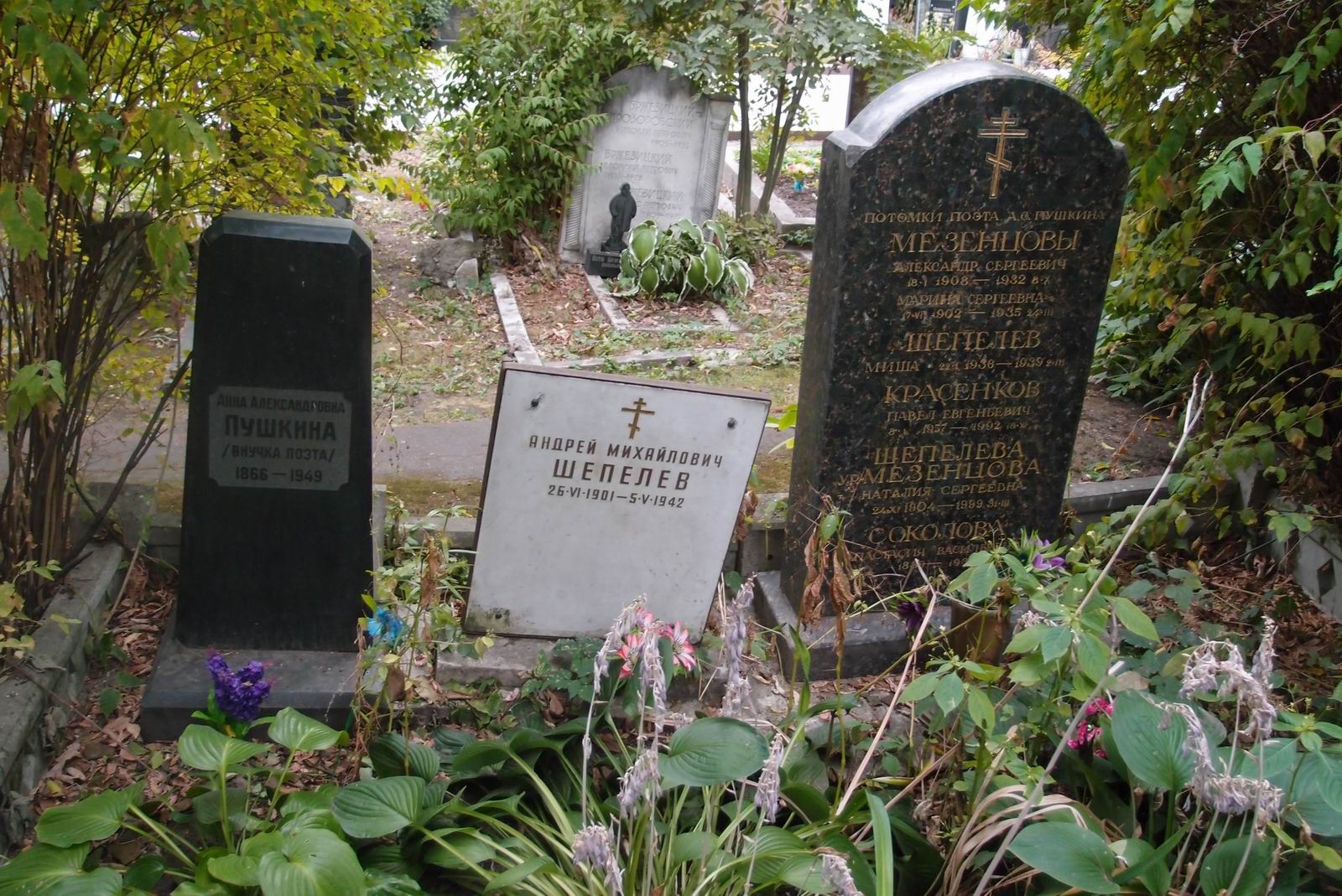 Памятник на могиле Пушкиной А.А. (1866–1949), на Новодевичьем кладбище (2–4–14).