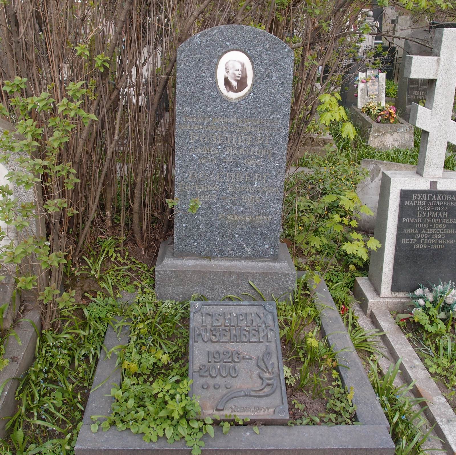 Памятник на могиле Розенберга Д.И. (1879–1950), на Новодевичьем кладбище (2–32–7).