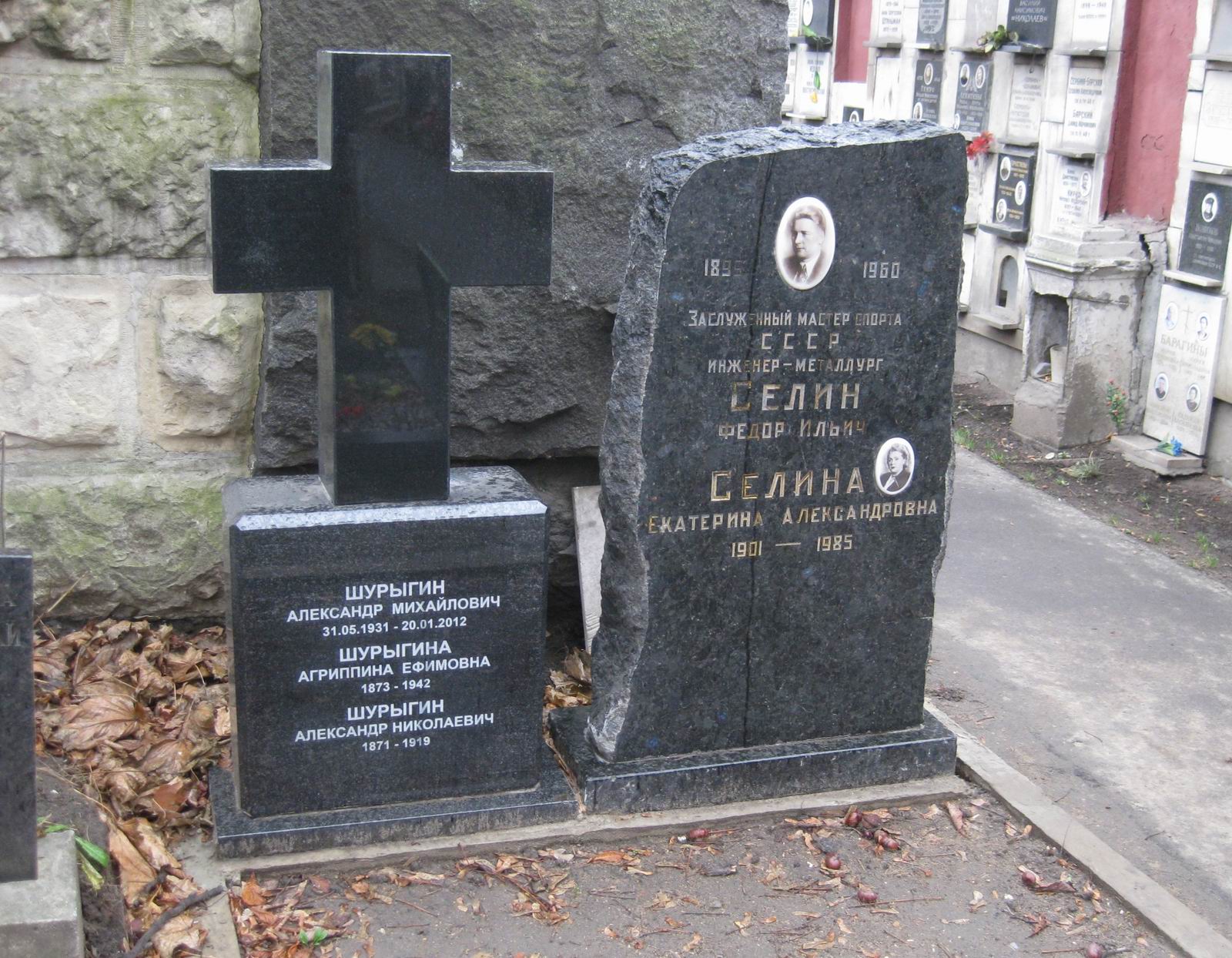 Памятник на могиле Селина Ф.И. (1899–1960), на Новодевичьем кладбище (2–38–25).